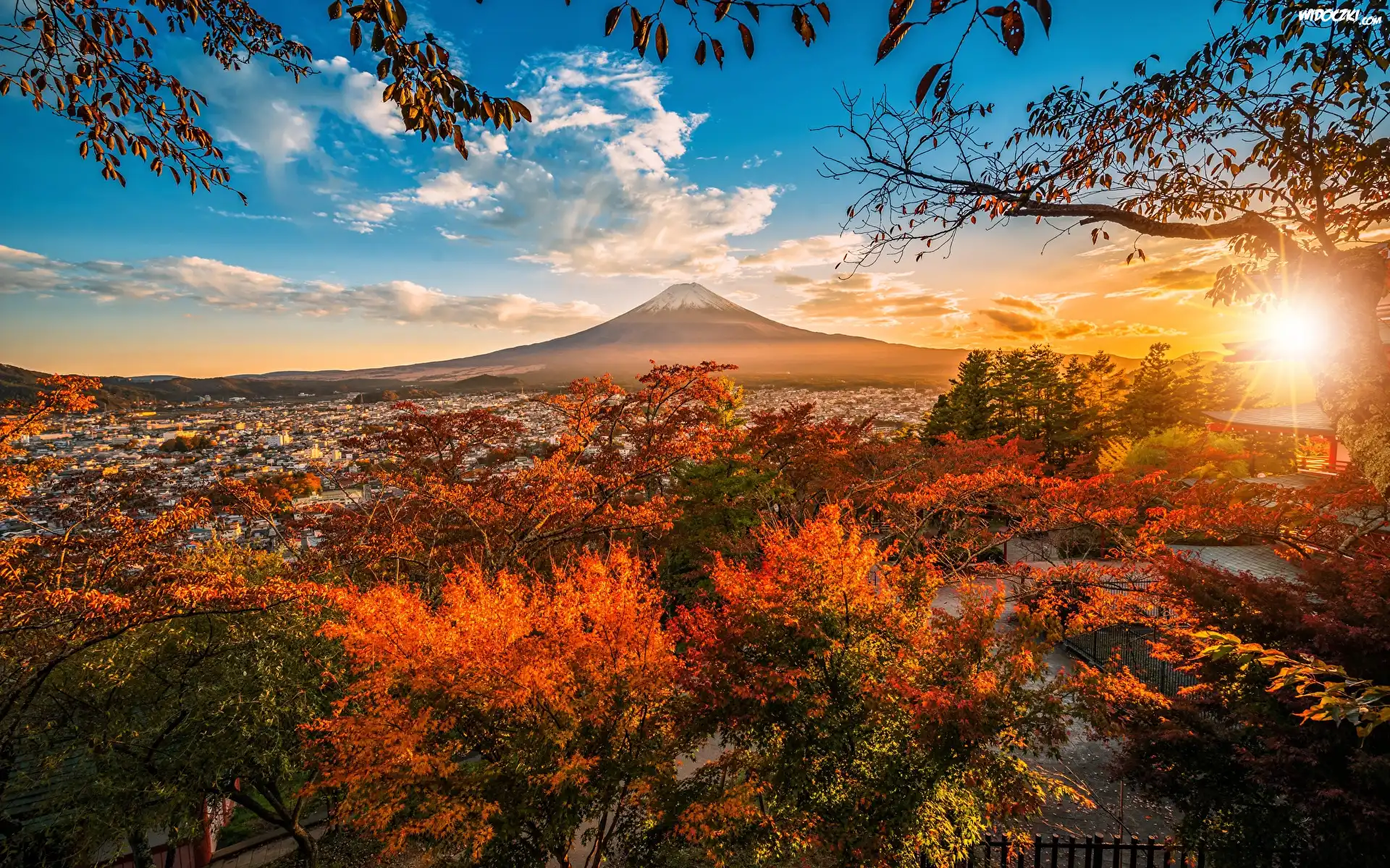 Japonia, Wyspa Honsiu, Miasto Fujiyoshida, Góra Fudżi, Krzewy, Drzewa, Jesień