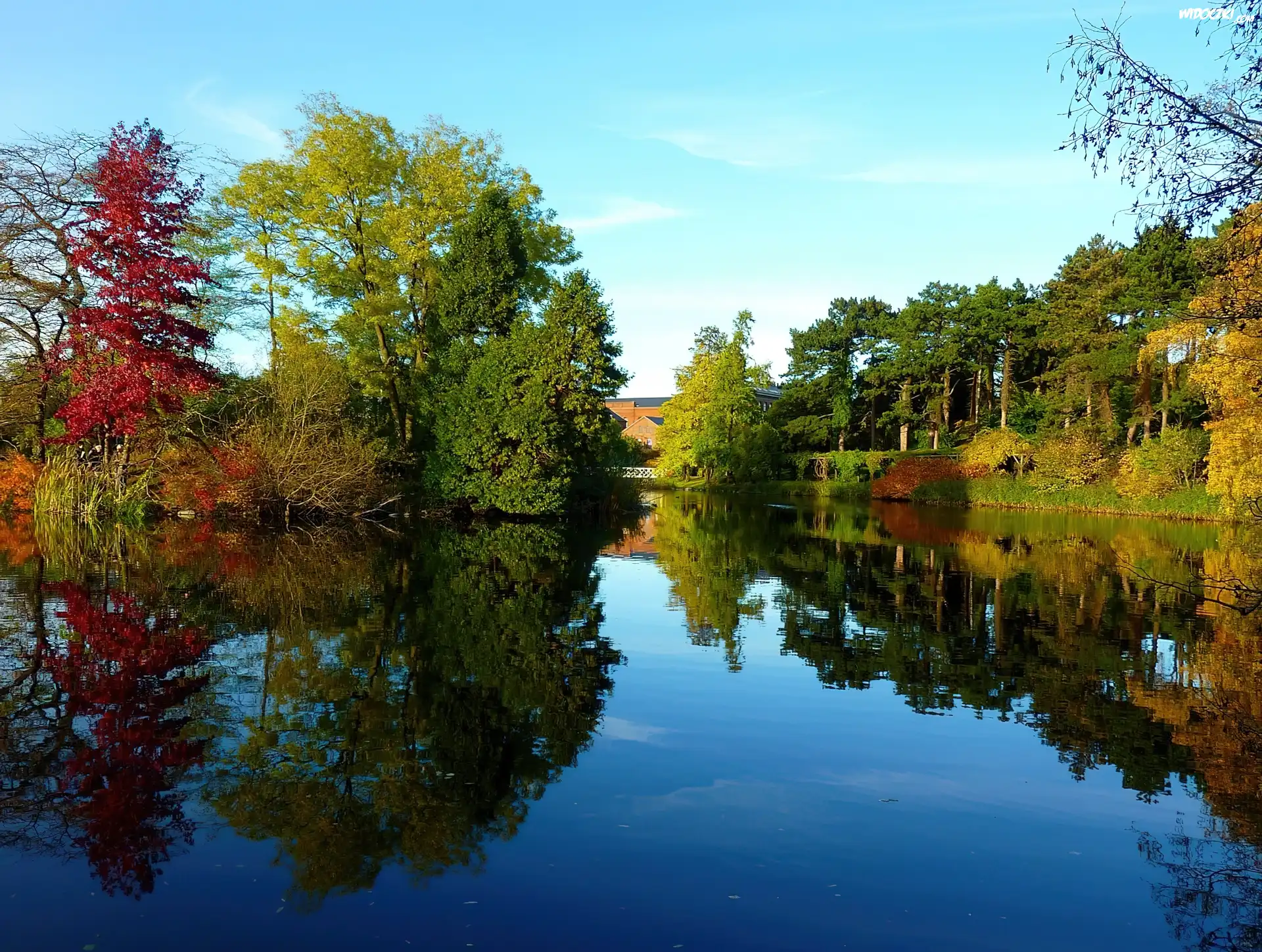 Jesień, Park, Jeziorko, Odbicie