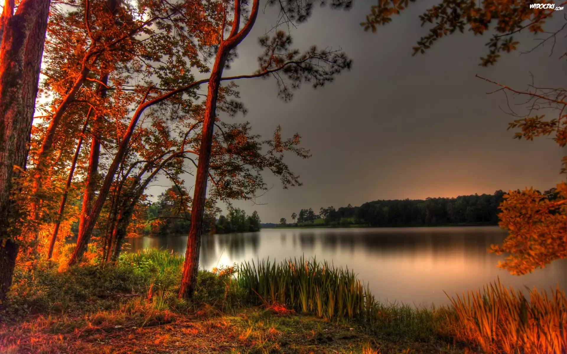 Jezioro, Jesień, Drzewa