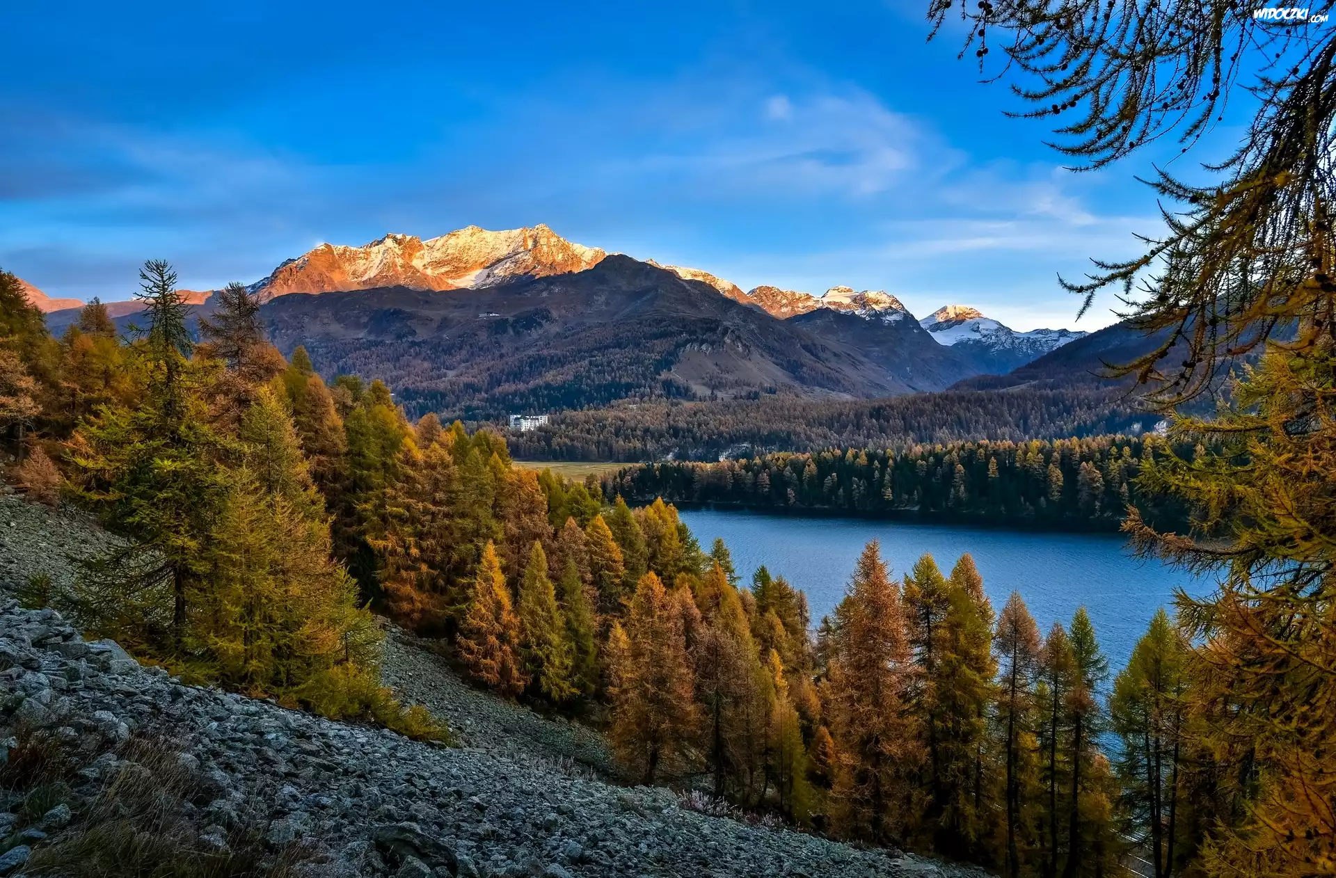 Jesień, Drzewa, Góry, Jezioro, Kamienie