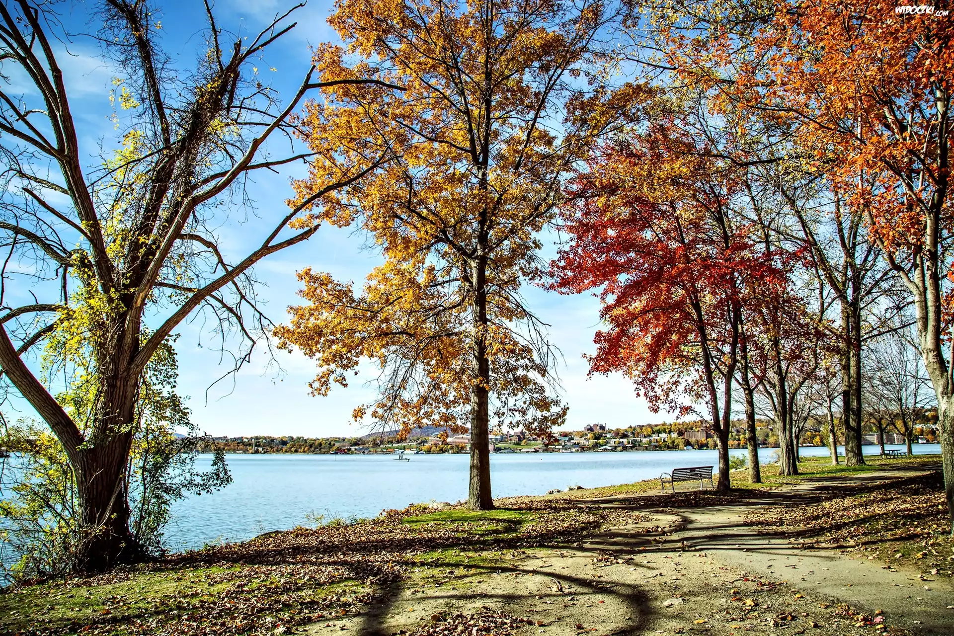 Jesień, Park, Kolorowe Drzewa, Jezioro, Krajobraz