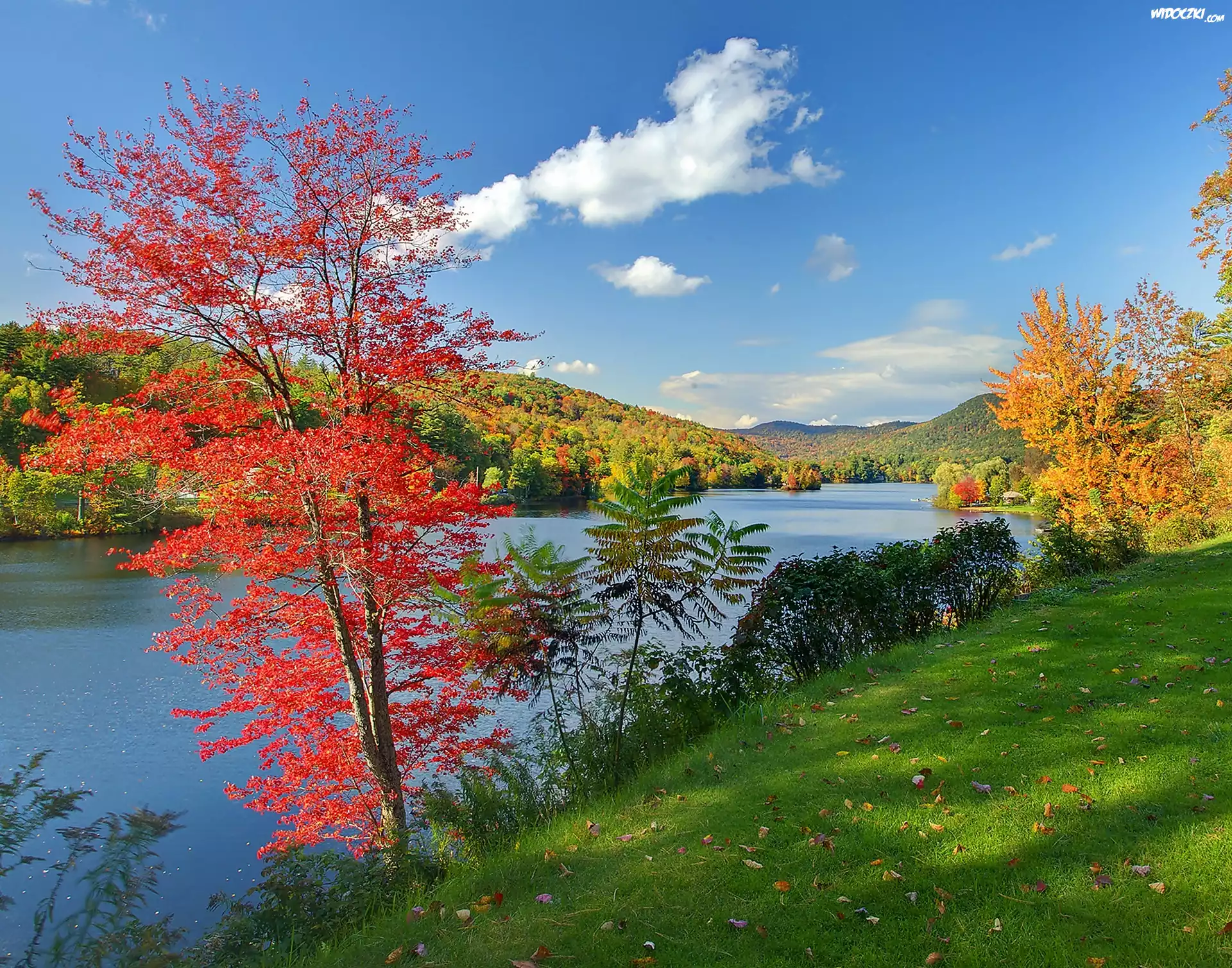Jesień, Vermont, Lasy, Jezioro