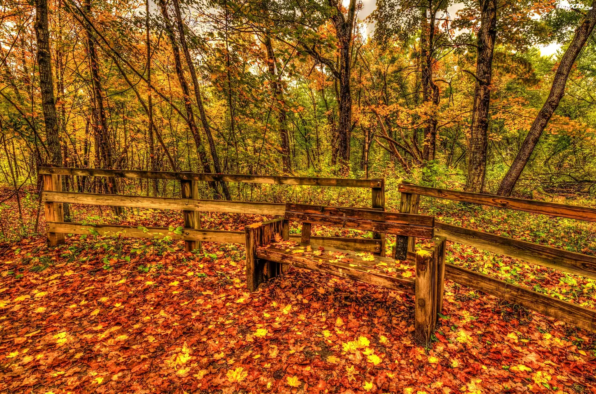 Jesień, Park, Ogrodzenie, Ławka