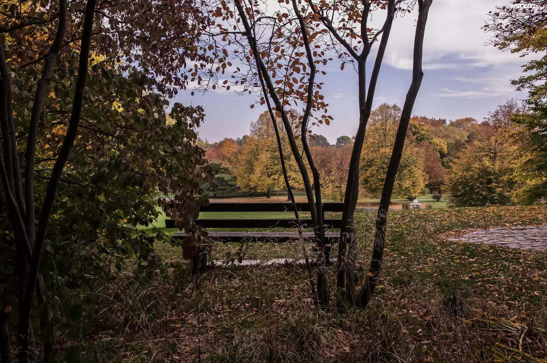 Jesień, Park, Ławka, Drzewa, Opadłe, Liście