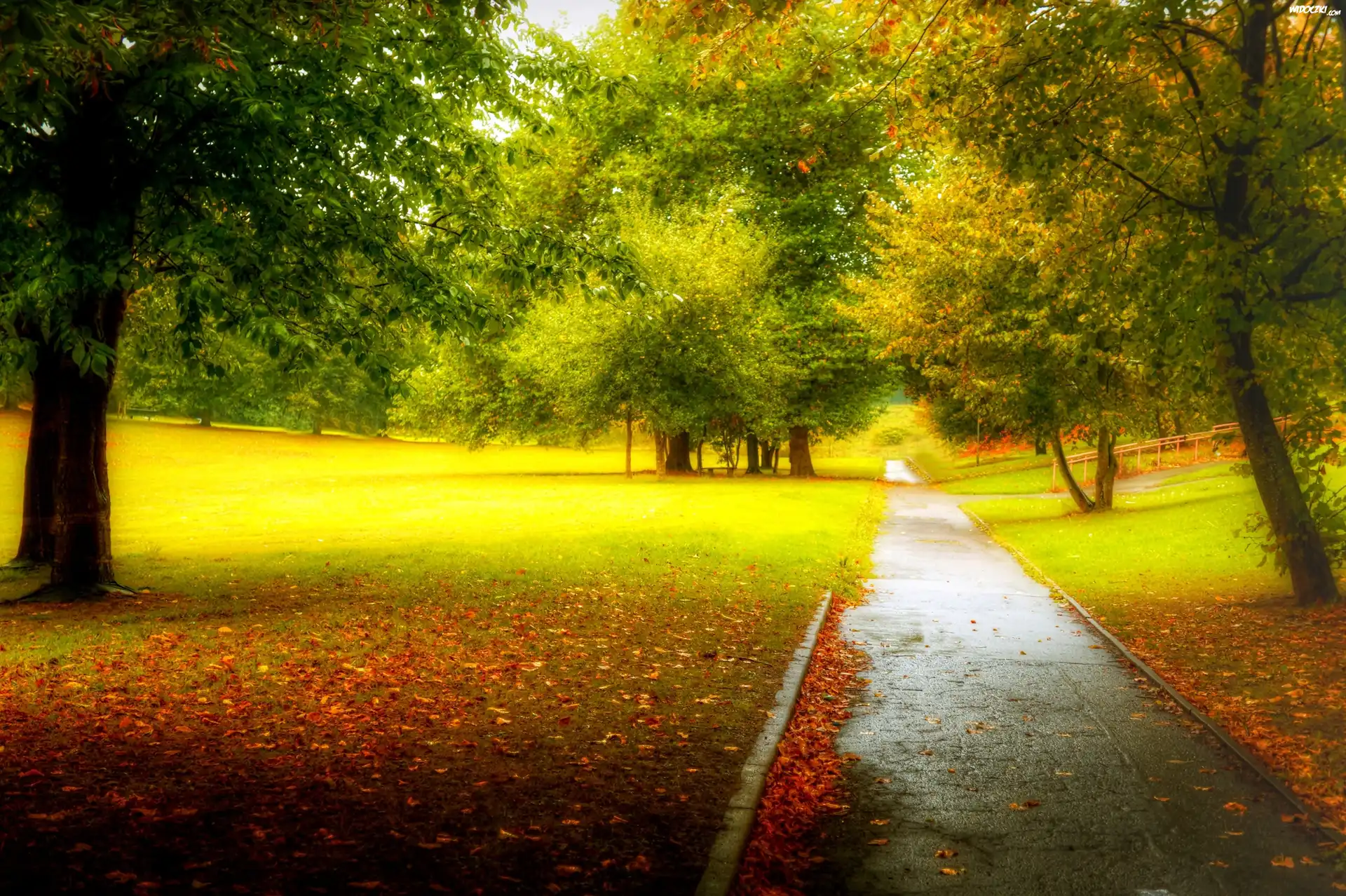 Jesień, Park