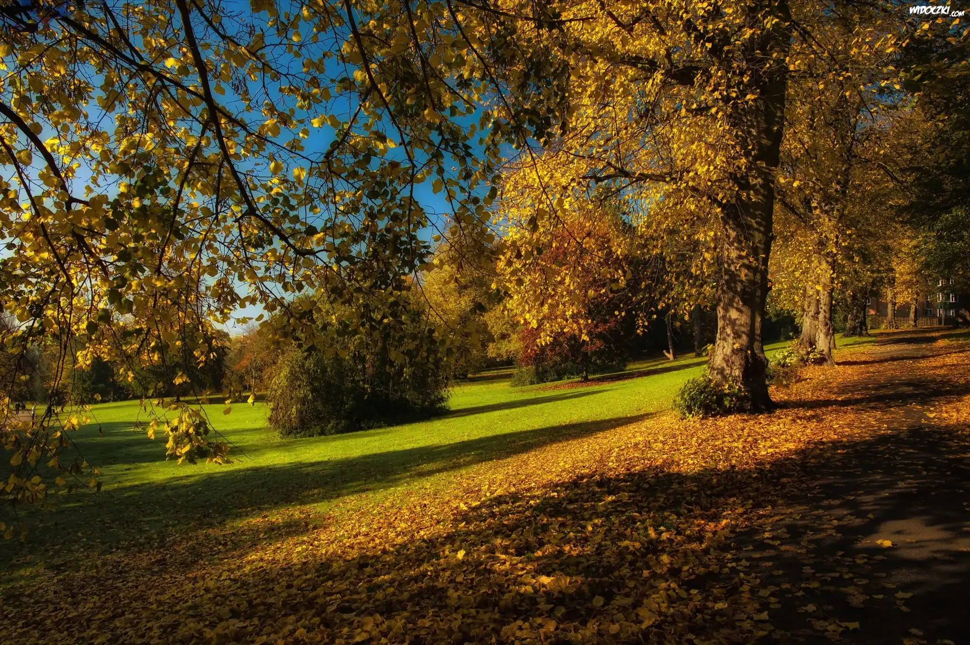 Jesień, Park