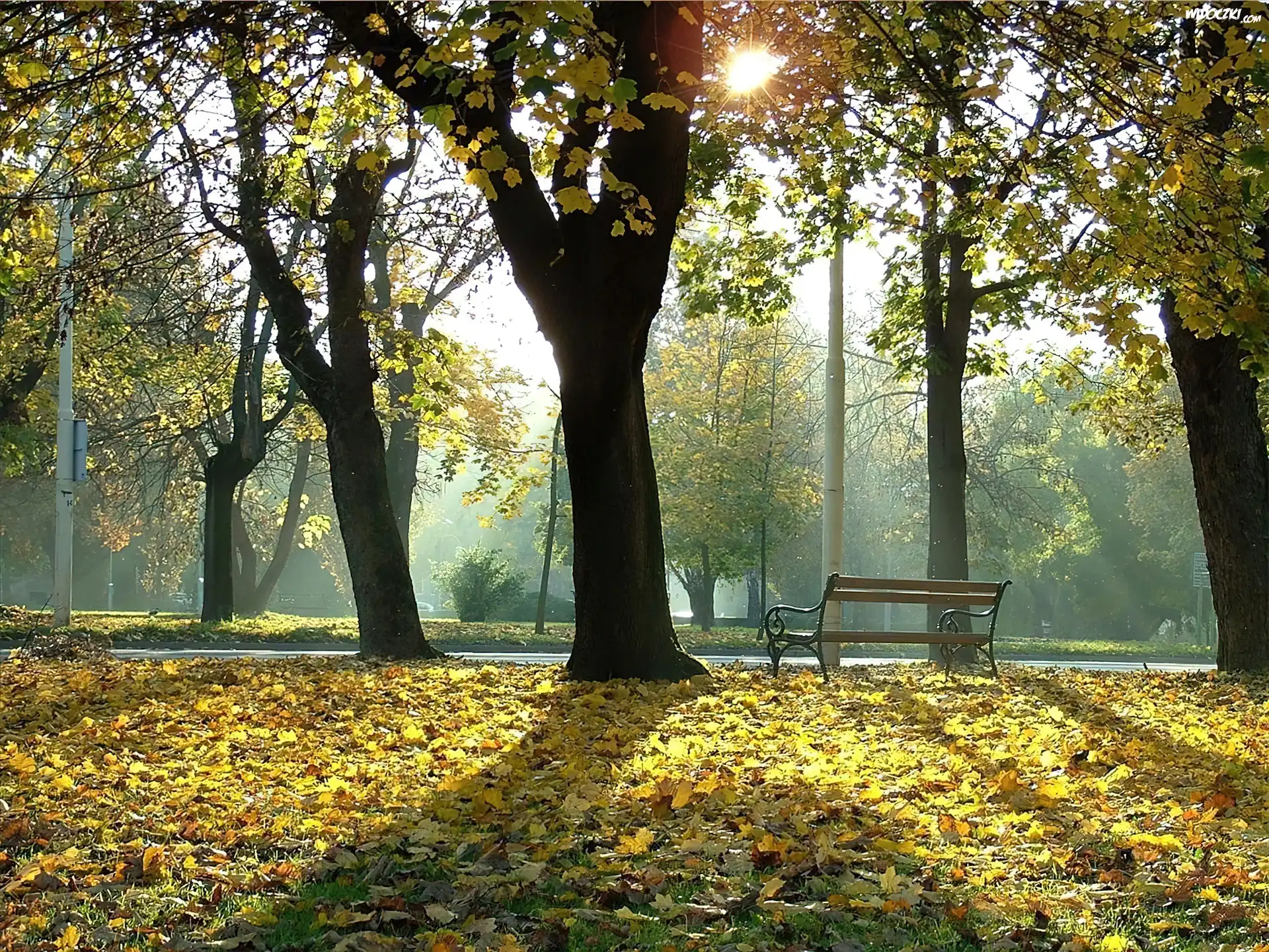 Park, Jesień, Ławeczka