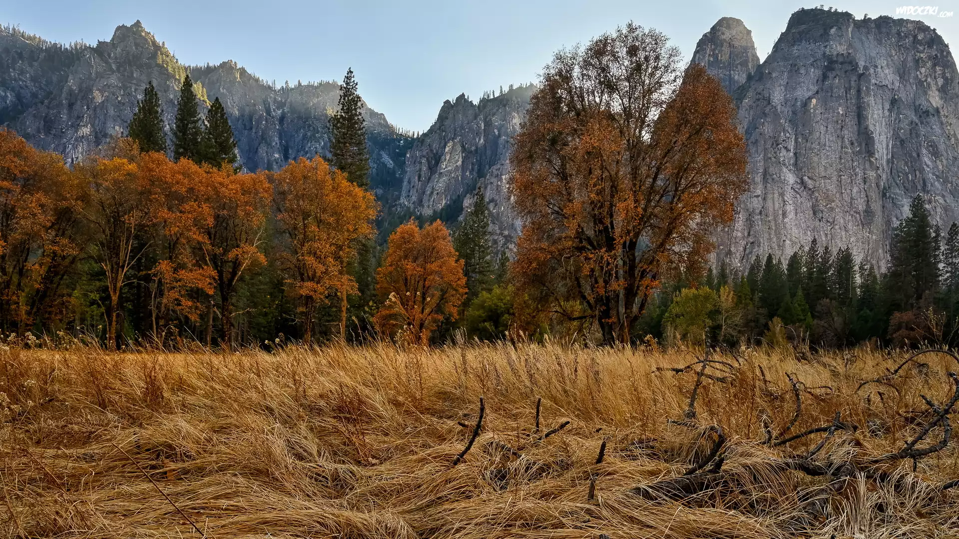 Park Narodowy Yosemite, Drzewa, Jesień, Pożółkła, Trawa, Góry, Szczyt Cathedral Peak, Kalifornia, Stany Zjednoczone