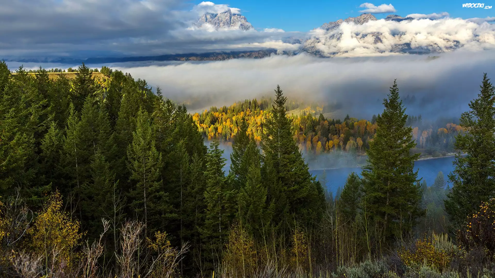 Jesień, Las, Góry, Drzewa, Świerki, Mgła, Krajobraz, Park Narodowy Grand Teton, Stan Wyoming, Stany Zjednoczone