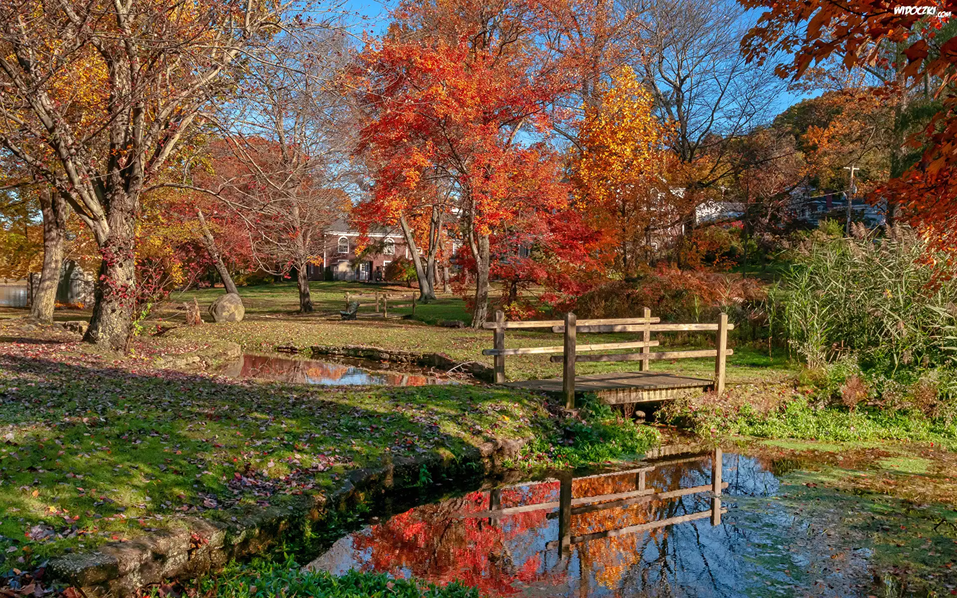 Jesień, Park, Drzewa, Staw, Mostek