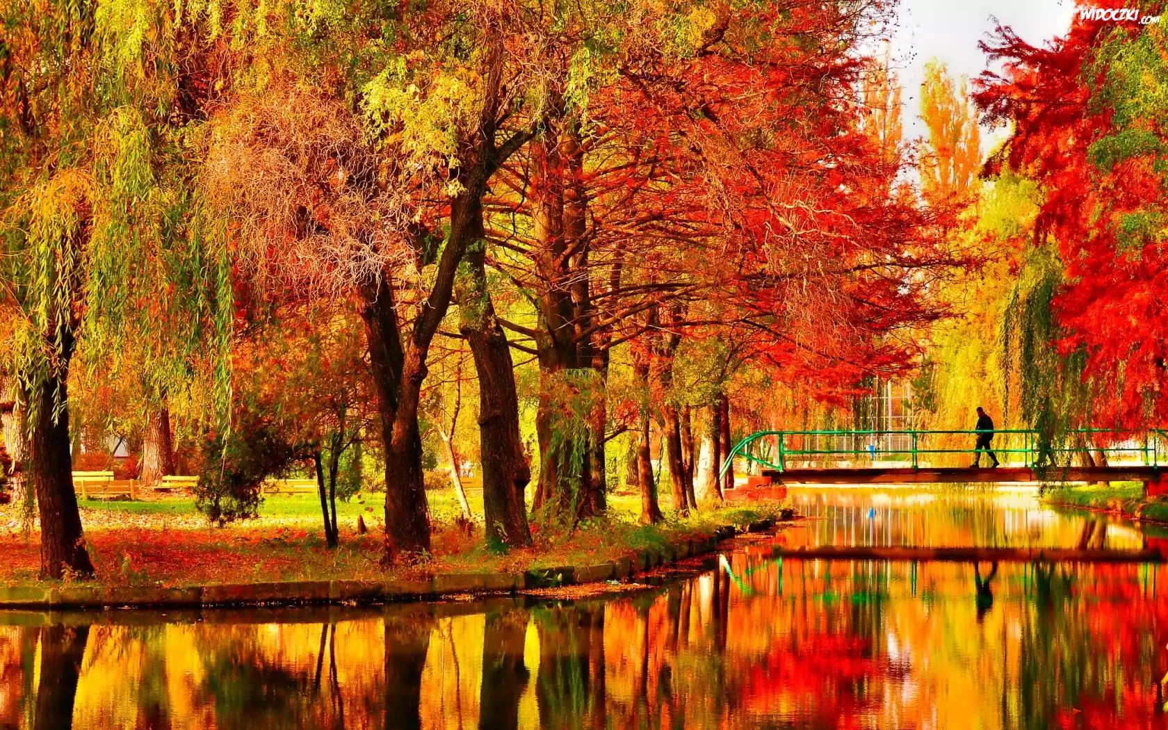 Jesień, Park, Staw, Mostek