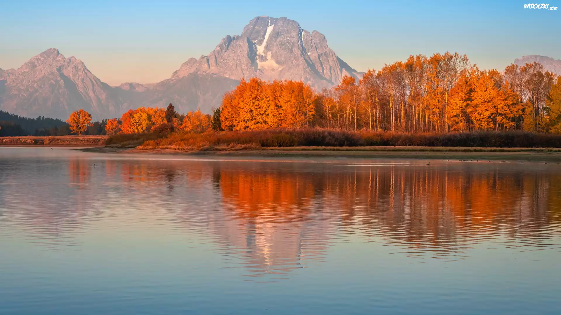 Jesień, Park Narodowy Grand Teton, Rzeka, Snake River, Góry, Teton Range, Drzewa, Jesień, Stan Wyoming, Stany Zjednoczone