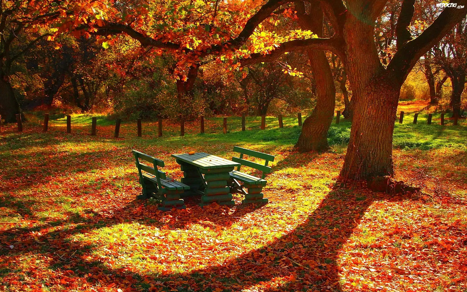 Jesień, Park, Zielone, Ławki
