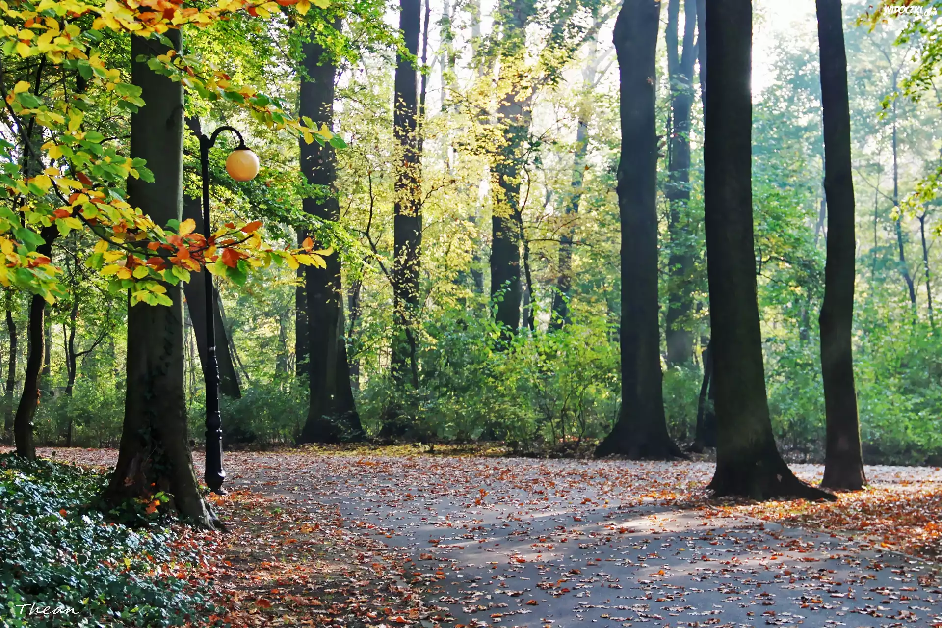 Jesienny, Park