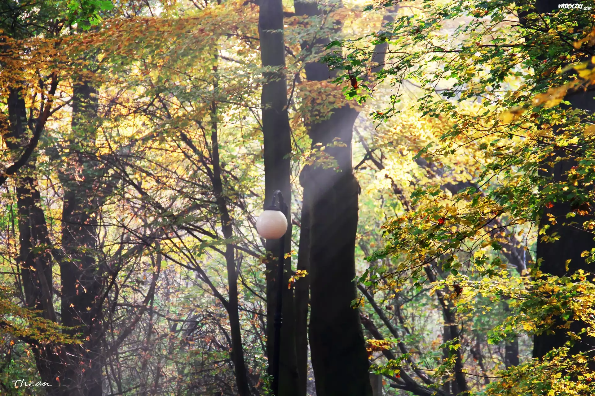 Jesienny, Park, Smuga, Słońca