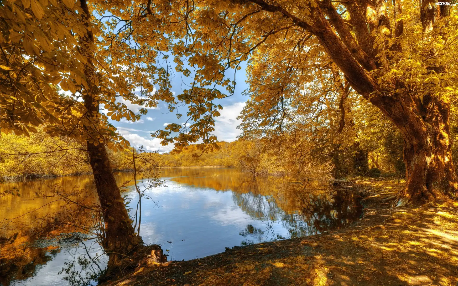 Park, Jeziorko, Jesień