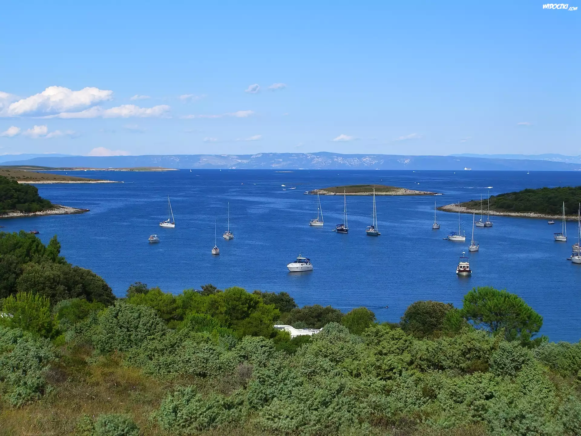 Jezioro, Żaglówki