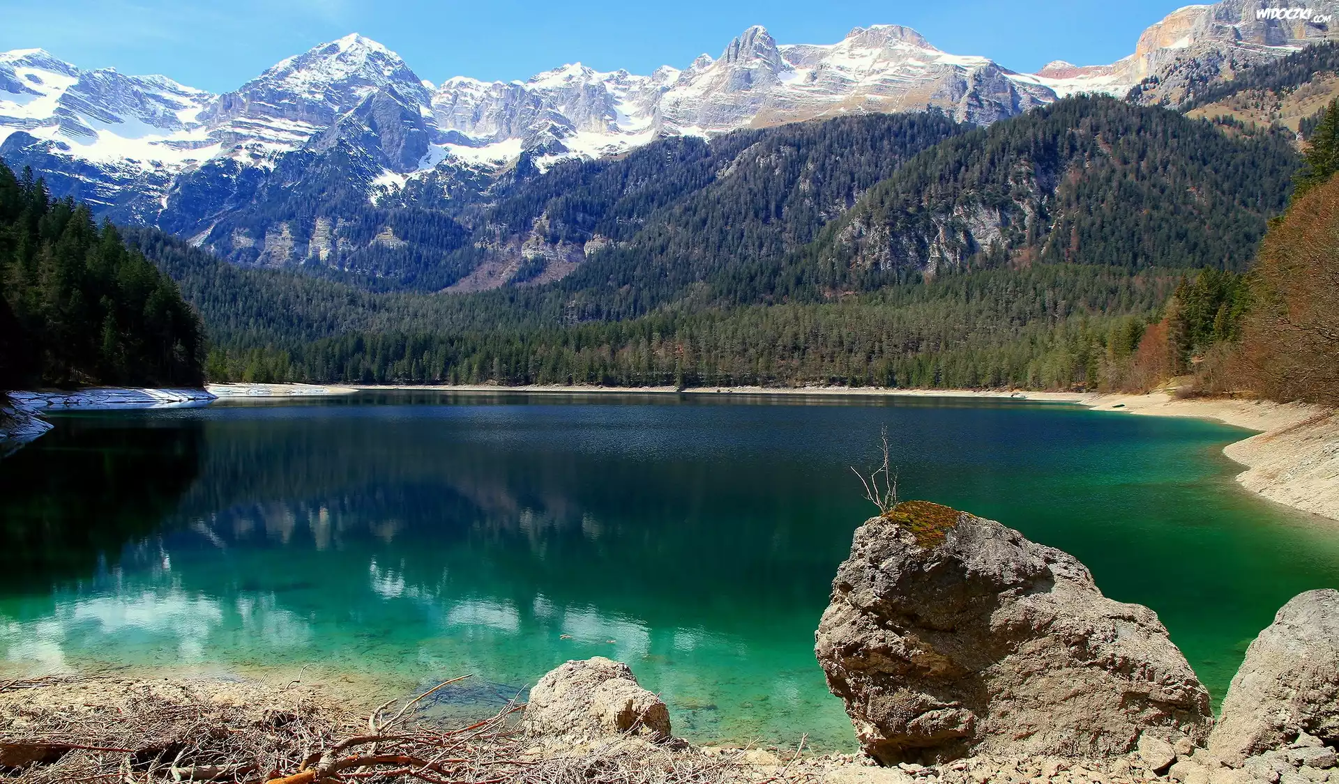 Jezioro Tovel, Góry, Dolomity Brenty, Park Przyrodniczy Adamello Brenta, Włochy