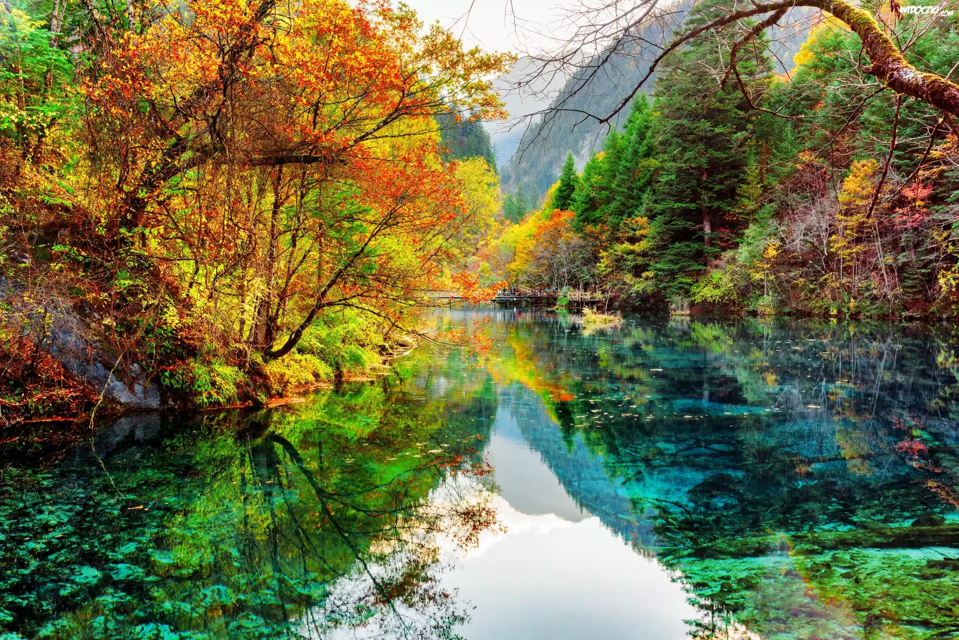 Chiny, Park Narodowy Jiuzhaigou, Jezioro Pięciu Kwiatów, Jezioro Wu Hua Hai, Drzewa, Jesień, Odbicie