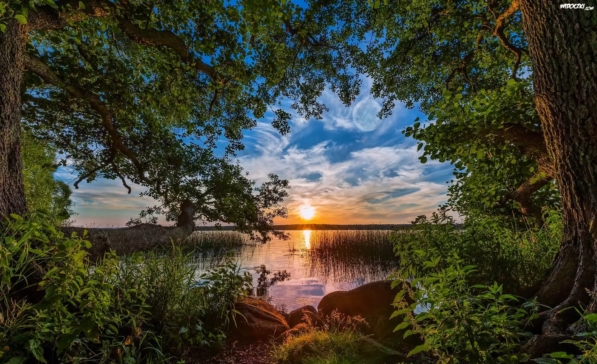 Jezioro, Drzewa, Wschód słońca, Chmury, Kamienie