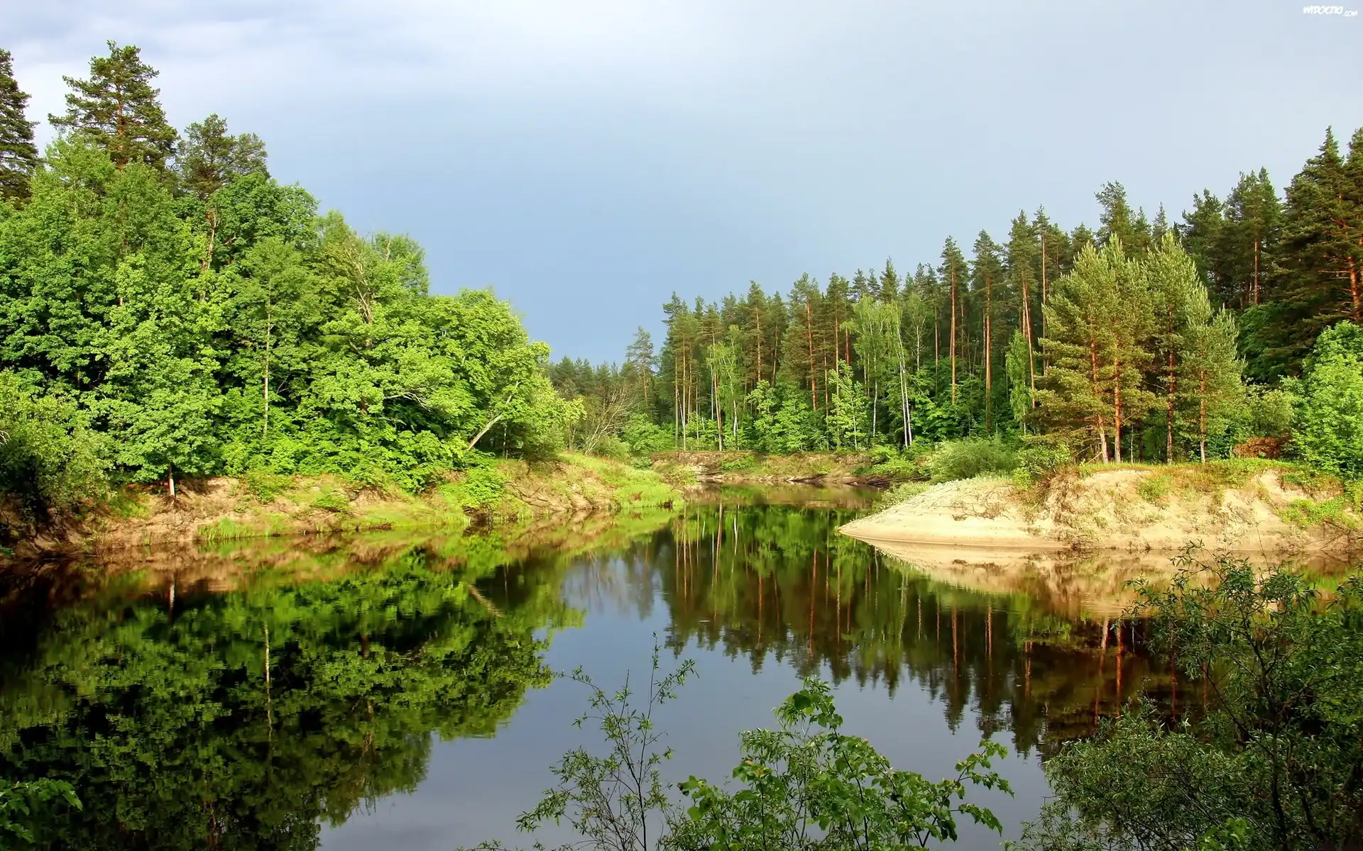 Jezioro, Las, Światło, Cień, Odbicie