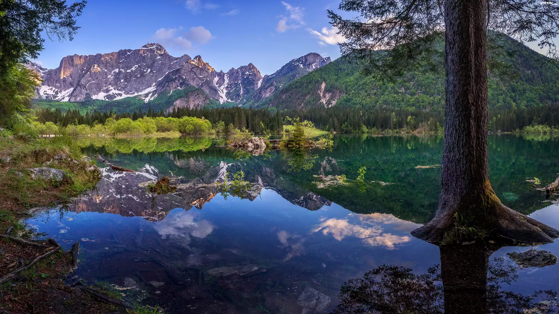 Alpy Julijskie, Jezioro Laghi di Fusine, Góry, Drzewa, Prowincja Udine, Włochy