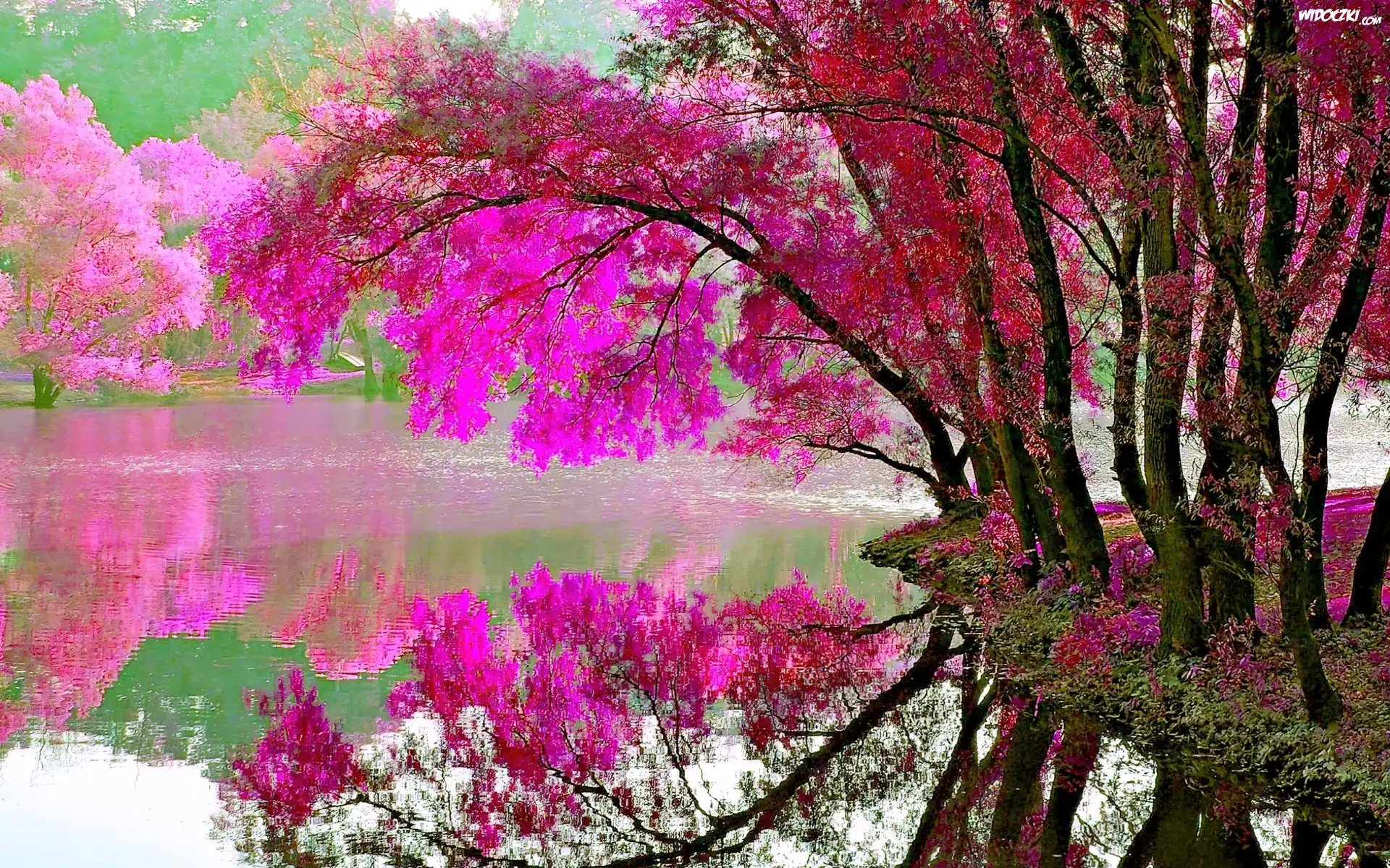 Jezioro, Drzewa