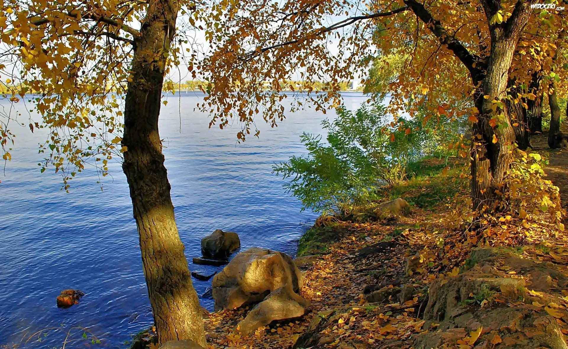 Jezioro, Brzeg, Drzewa, Głazy