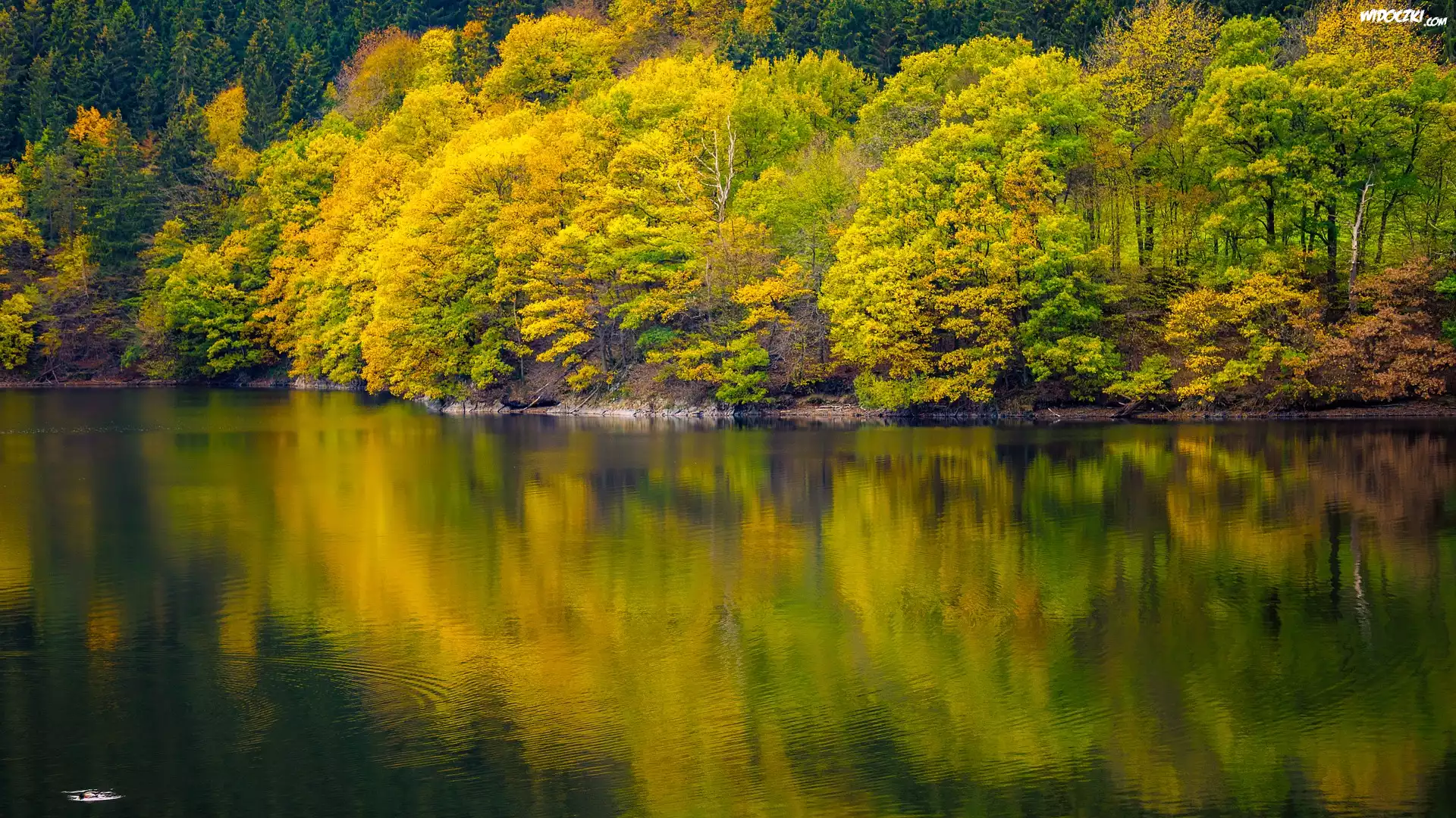 Jezioro, Jesień, Drzewa, Odbicie