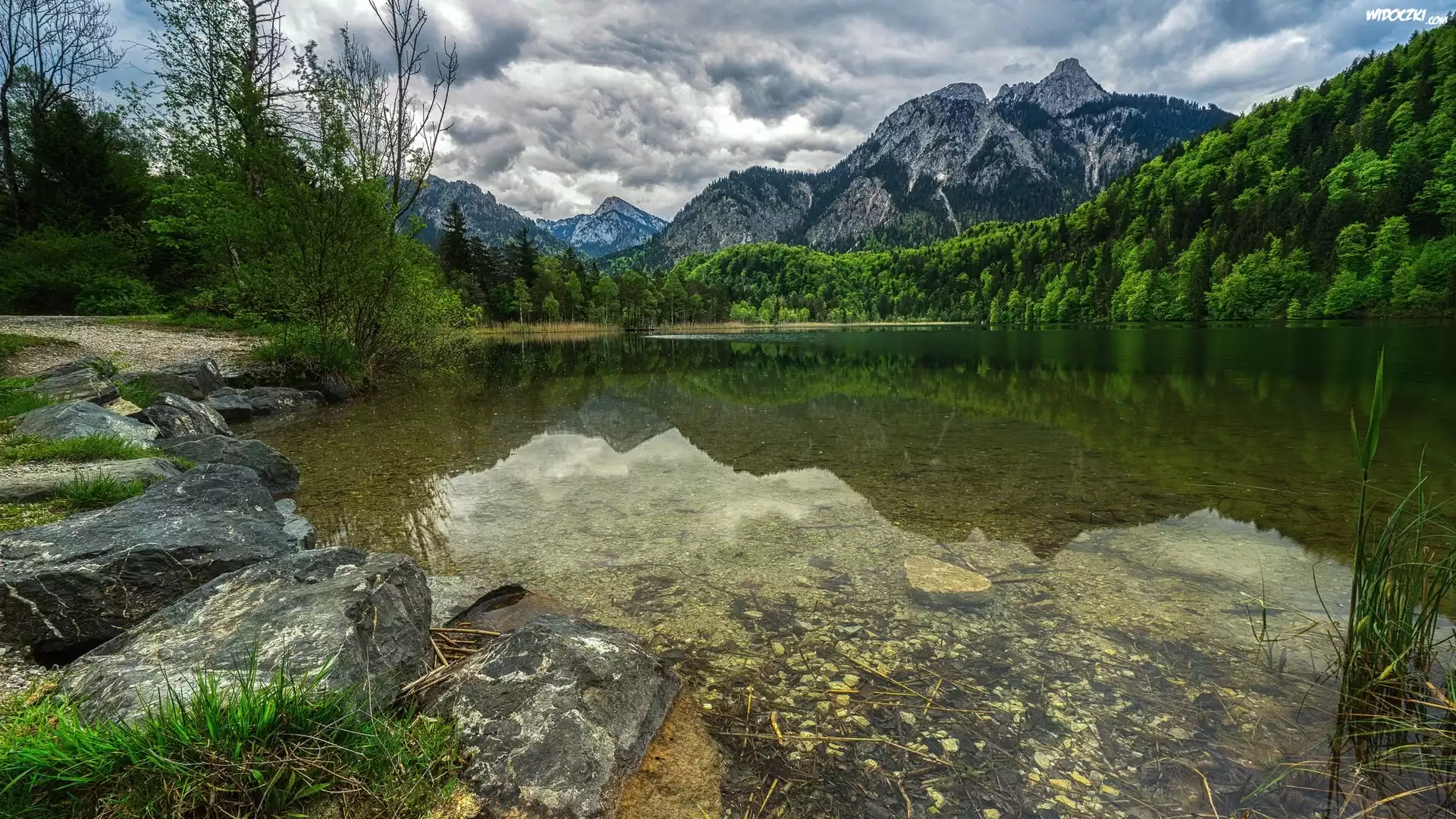 Jezioro, Kamienie, Drzewa, Góry