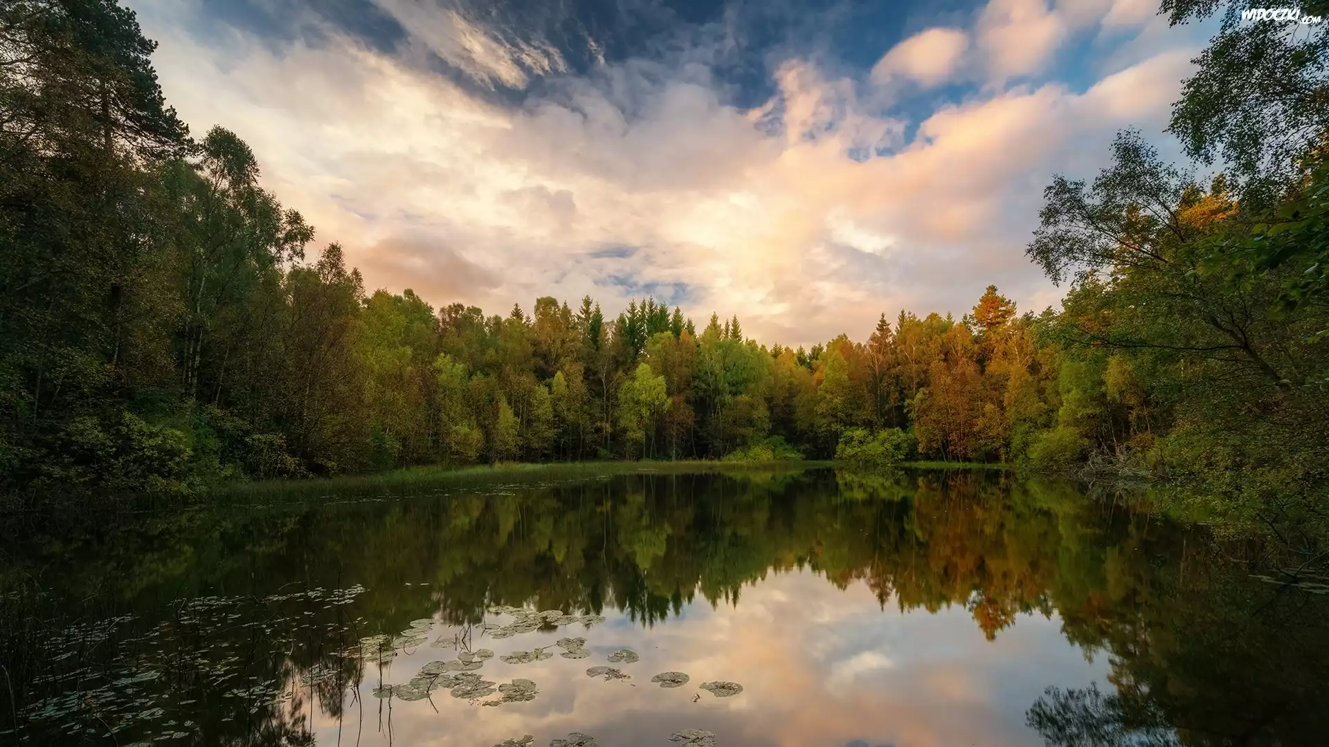 Jezioro, Zielony, Las, Drzewa, Chmury