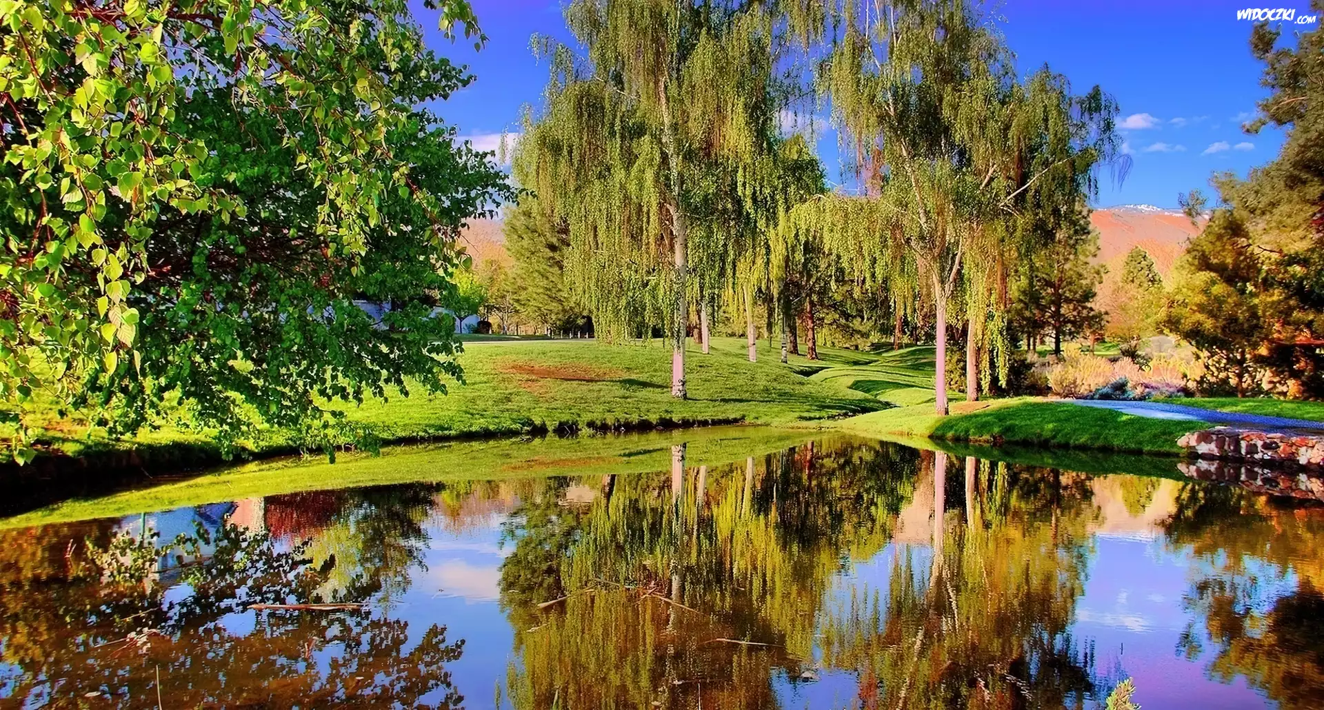 Drzewa, Jezioro, Odbicie