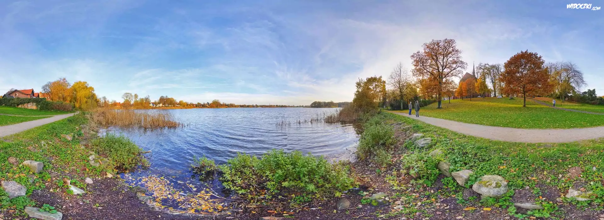 Jezioro, Park, Drzewa, Niebo