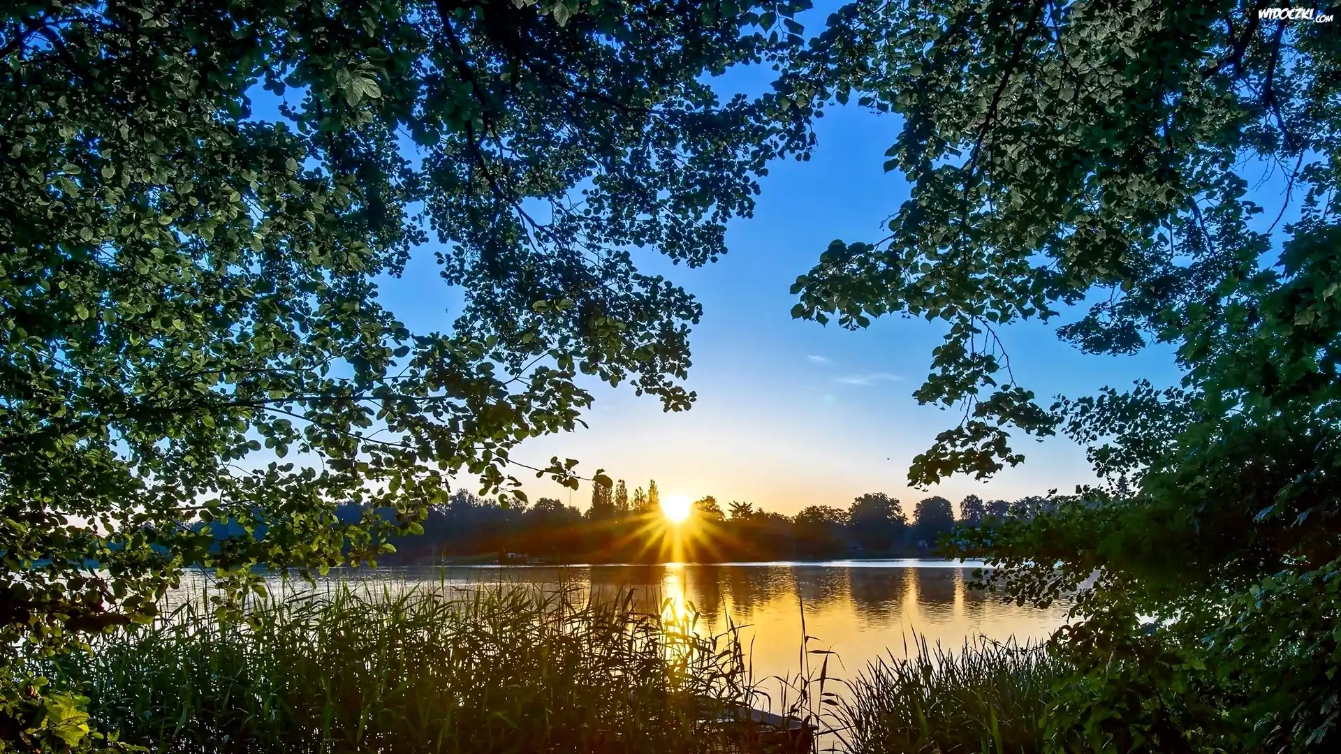 Jezioro, Promienie słońca, Drzewa, Trawy