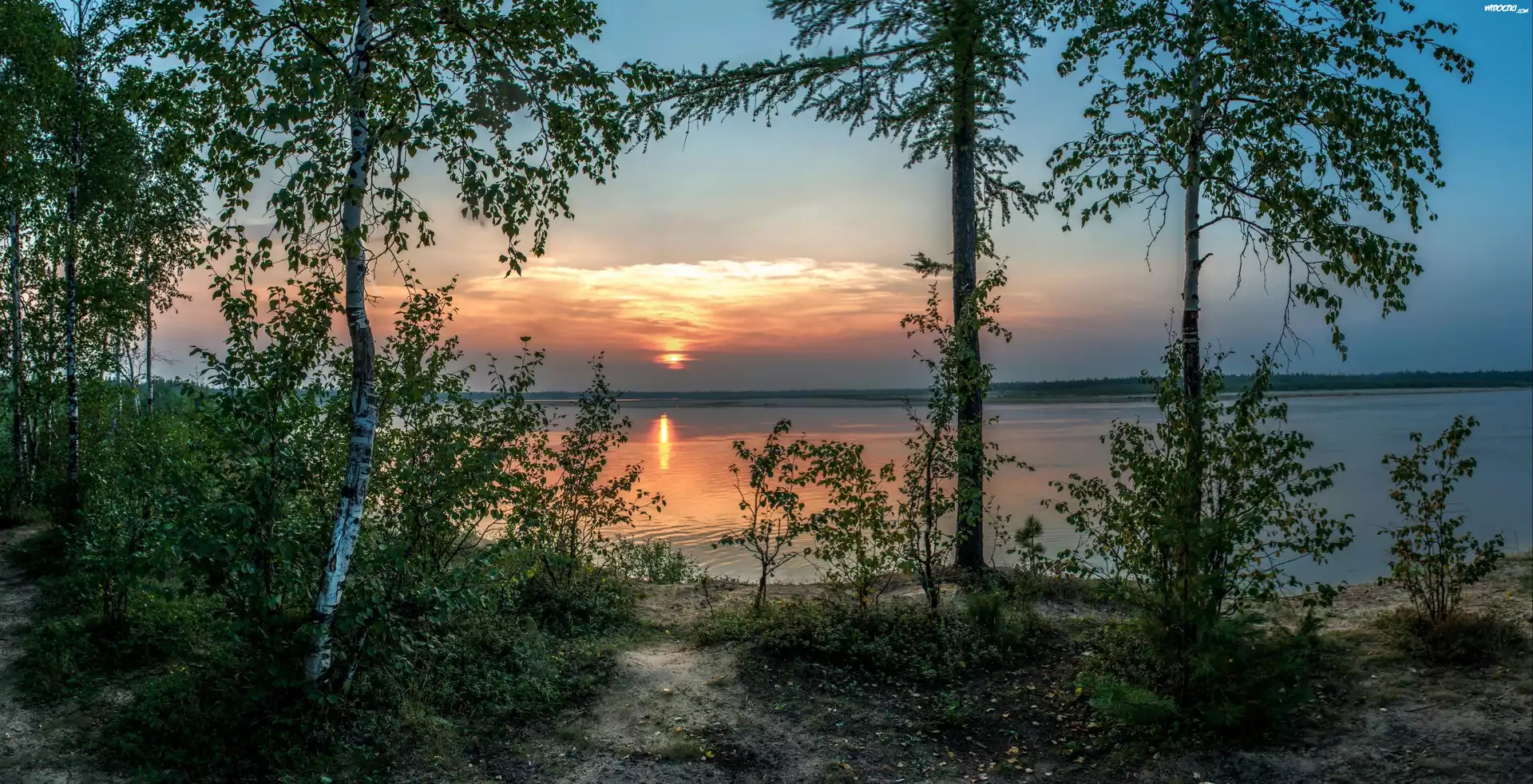 Jezioro, Zachód, Słońca, Drzewa, Brzozy