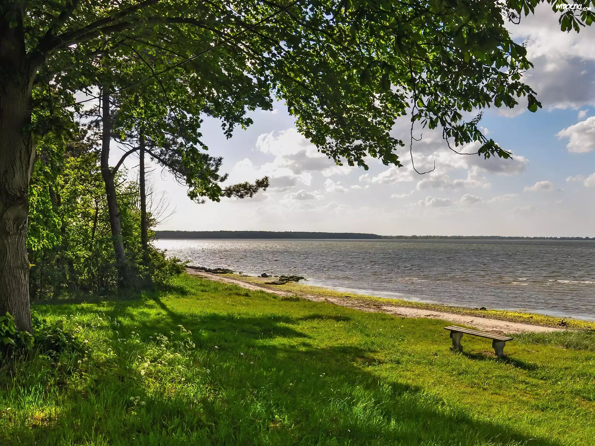 Jezioro, Ławka, Drzewo, Zieleń