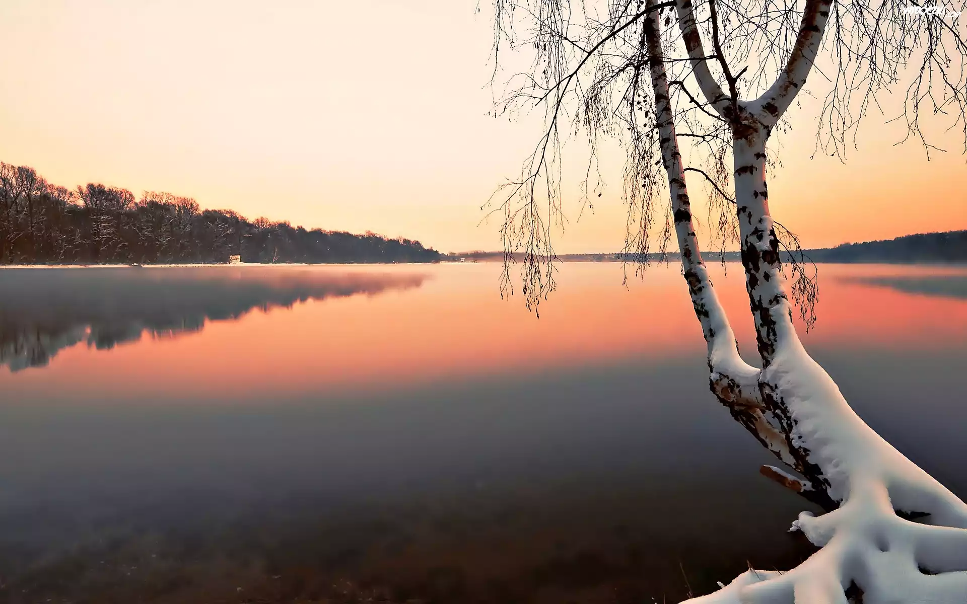 Jezioro, Ośnieżone Drzewo, Mgła