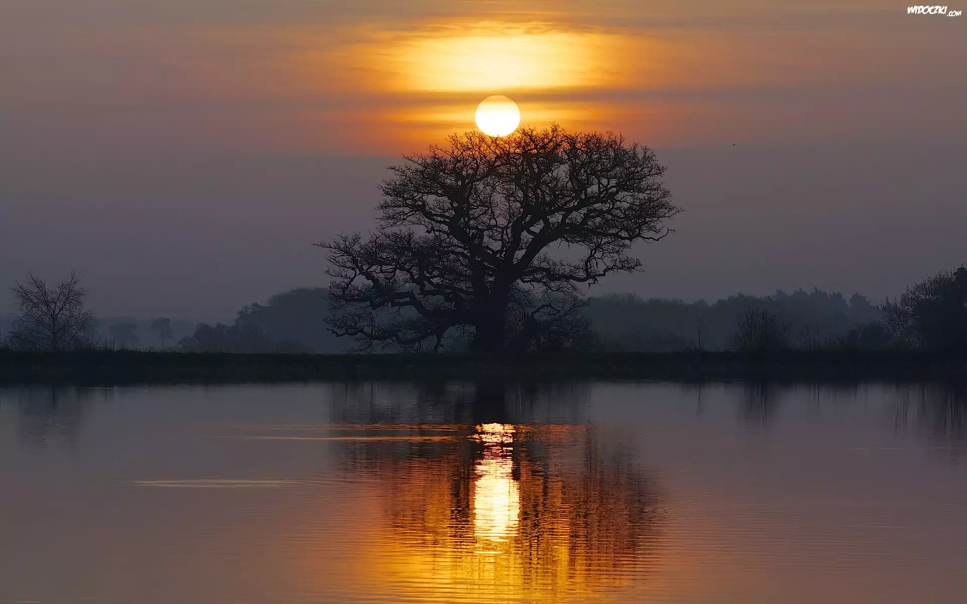 Jezioro, Zachód Słońca, Drzewo, Odbicie