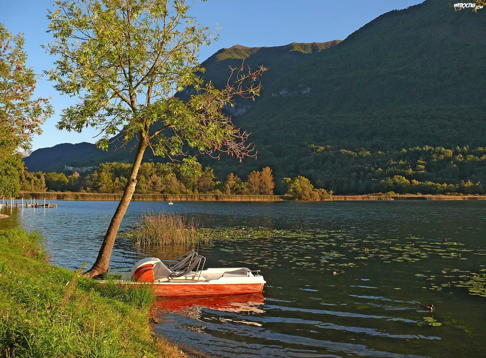 Jezioro, Rower wodny, Drzewo, Góra