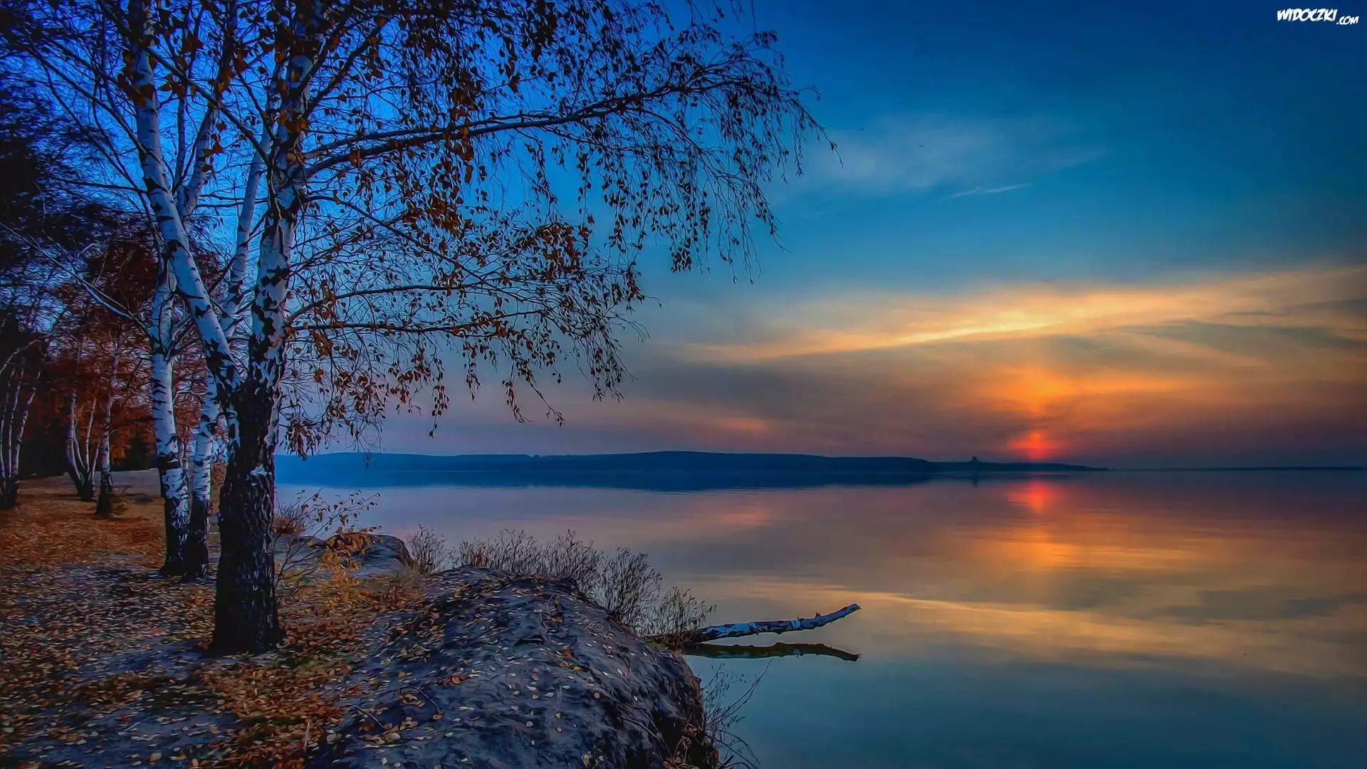 Jezioro, Zachód słońca, Fractalius, Brzoza