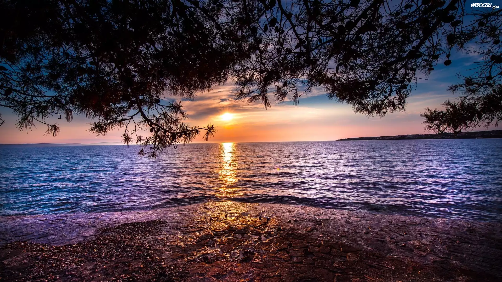 Jezioro, Zachód słońca, Gałęzie, Brzeg