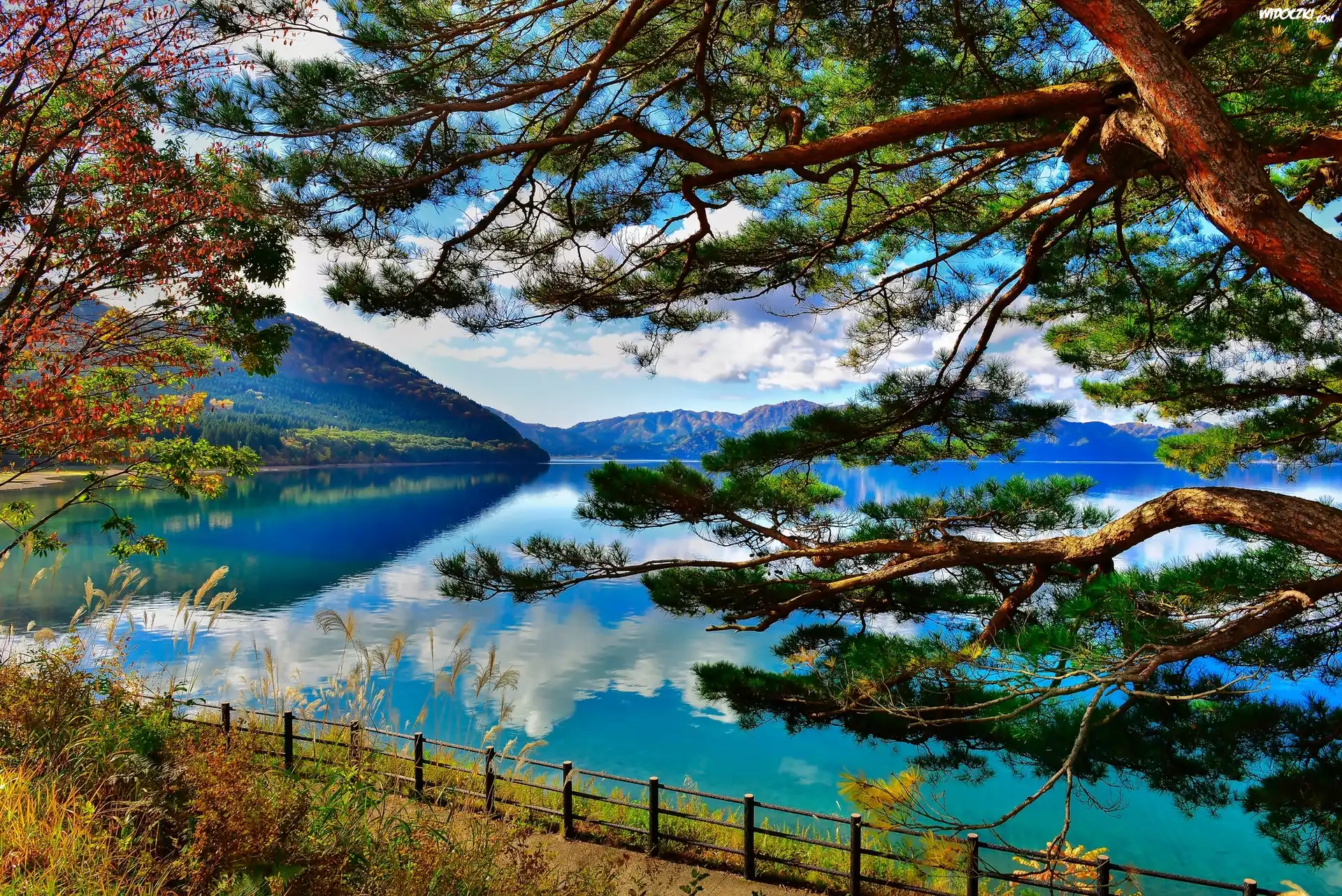 Góry, Jezioro, Drzewa