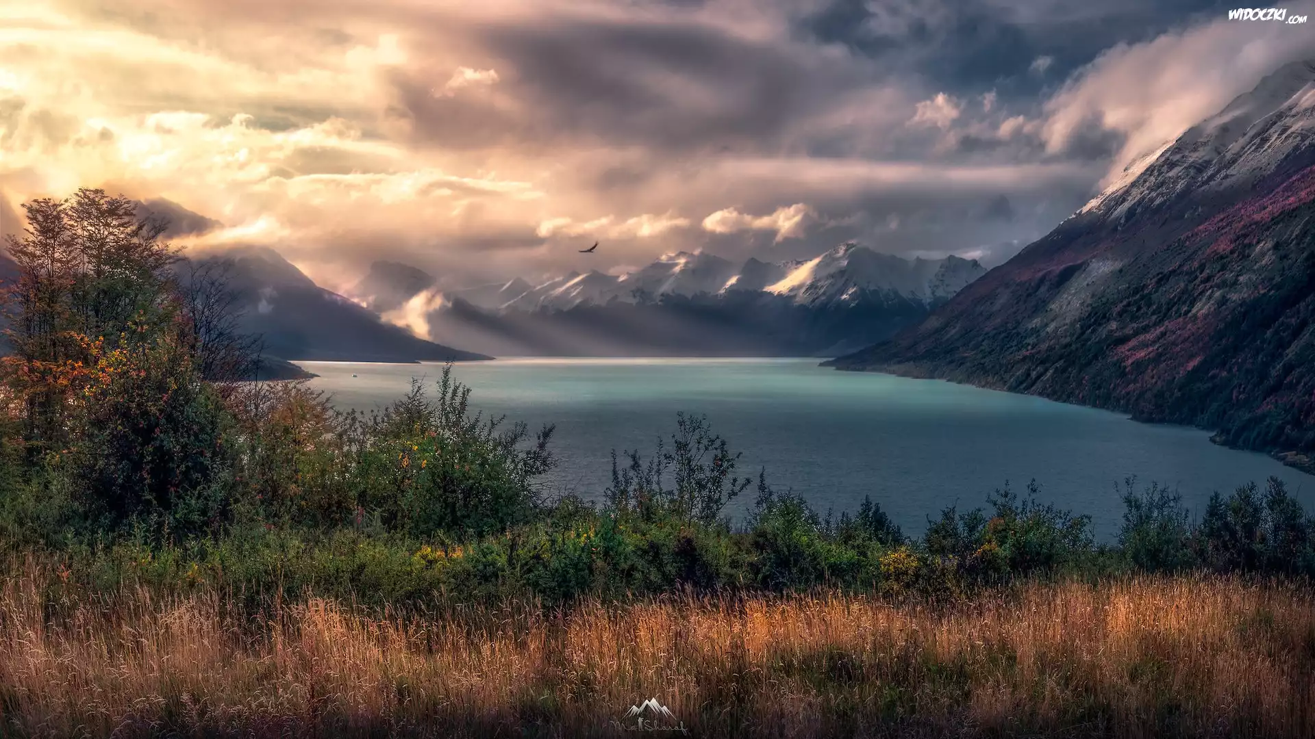 Argentyna, Patagonia, Góry, Jezioro, Jesień, Mgła, Roślinność