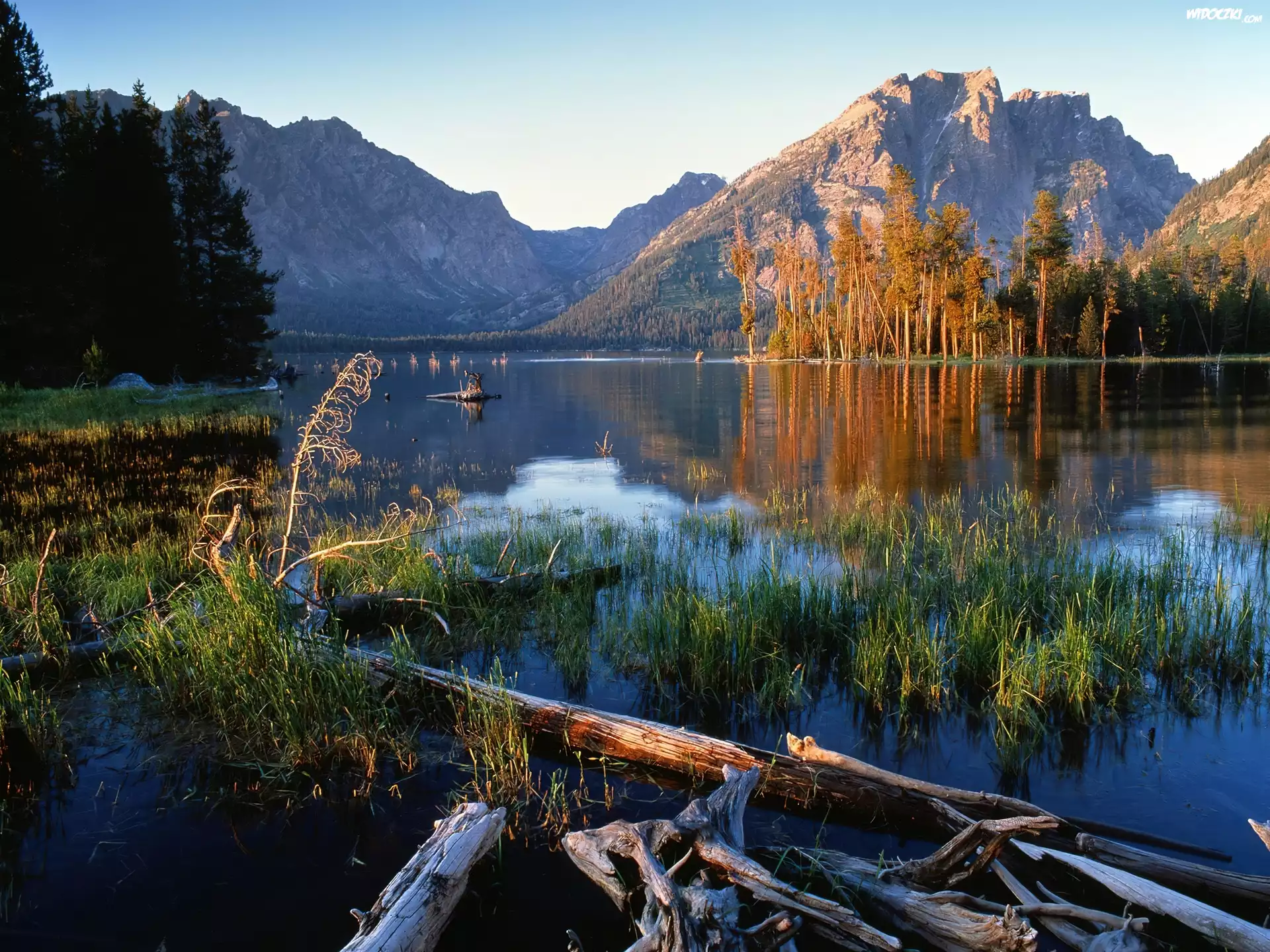 Jezioro, Góry, Roślinność, Jackson, Wyoming