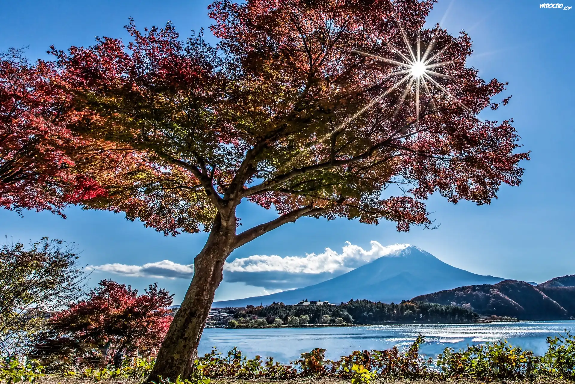 Jesień, Jezioro, Drzewa, Promienie, Słońca, Góra, Fuji, Japonia