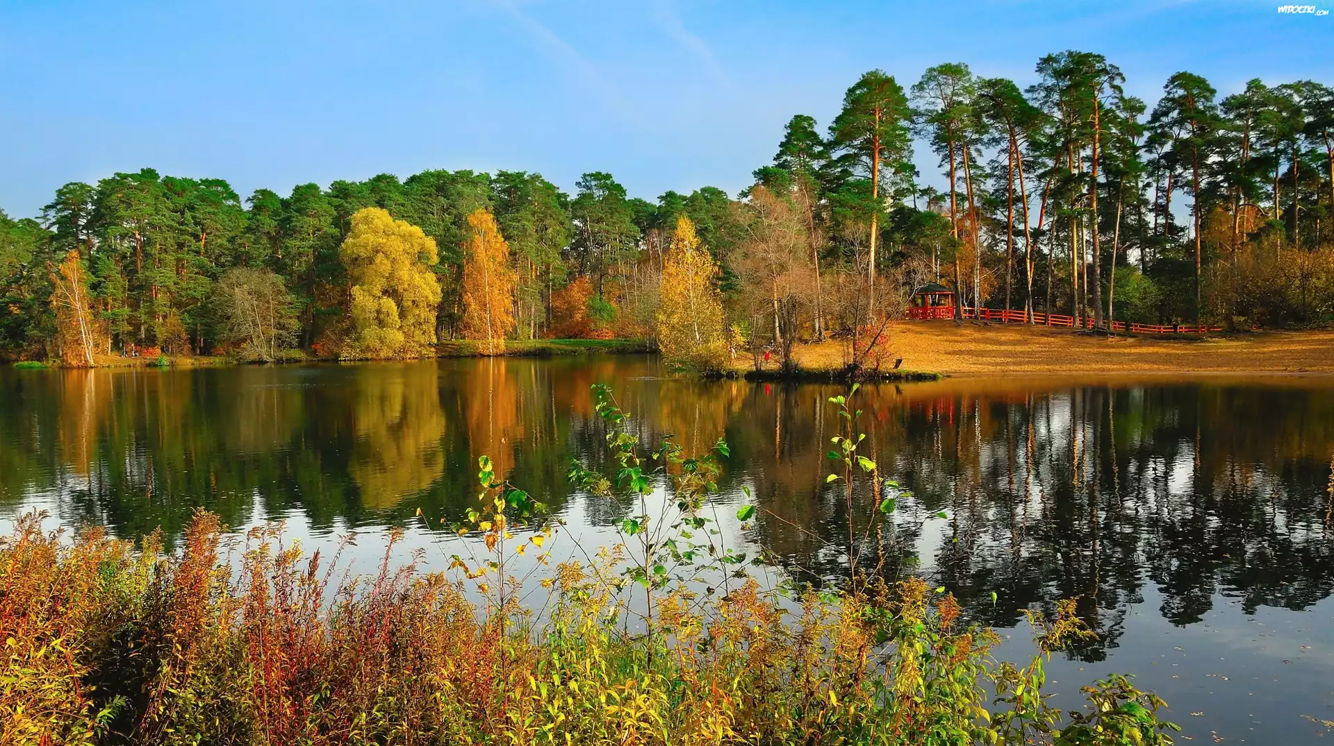 Jesień, Jezioro, Park