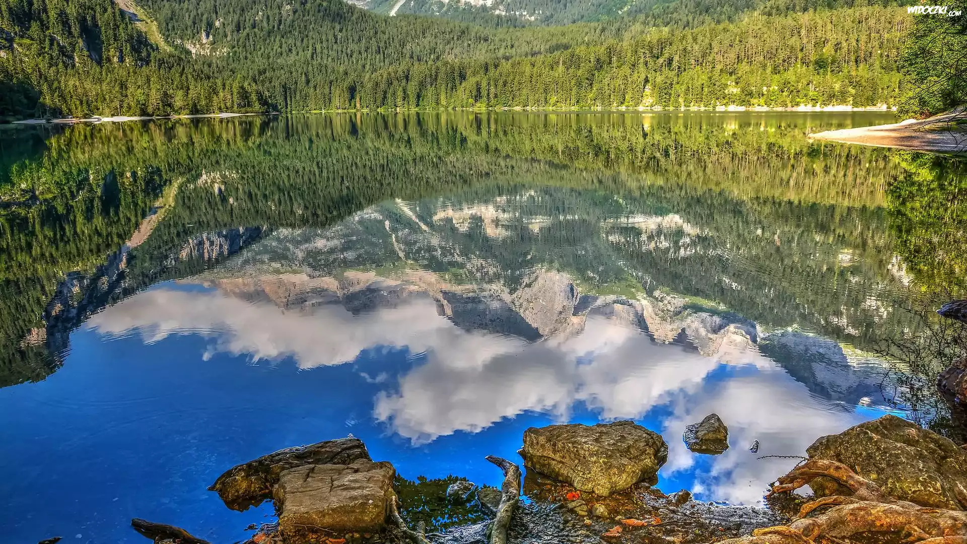 Jezioro, Drzewa, Kamienie, Odbicie