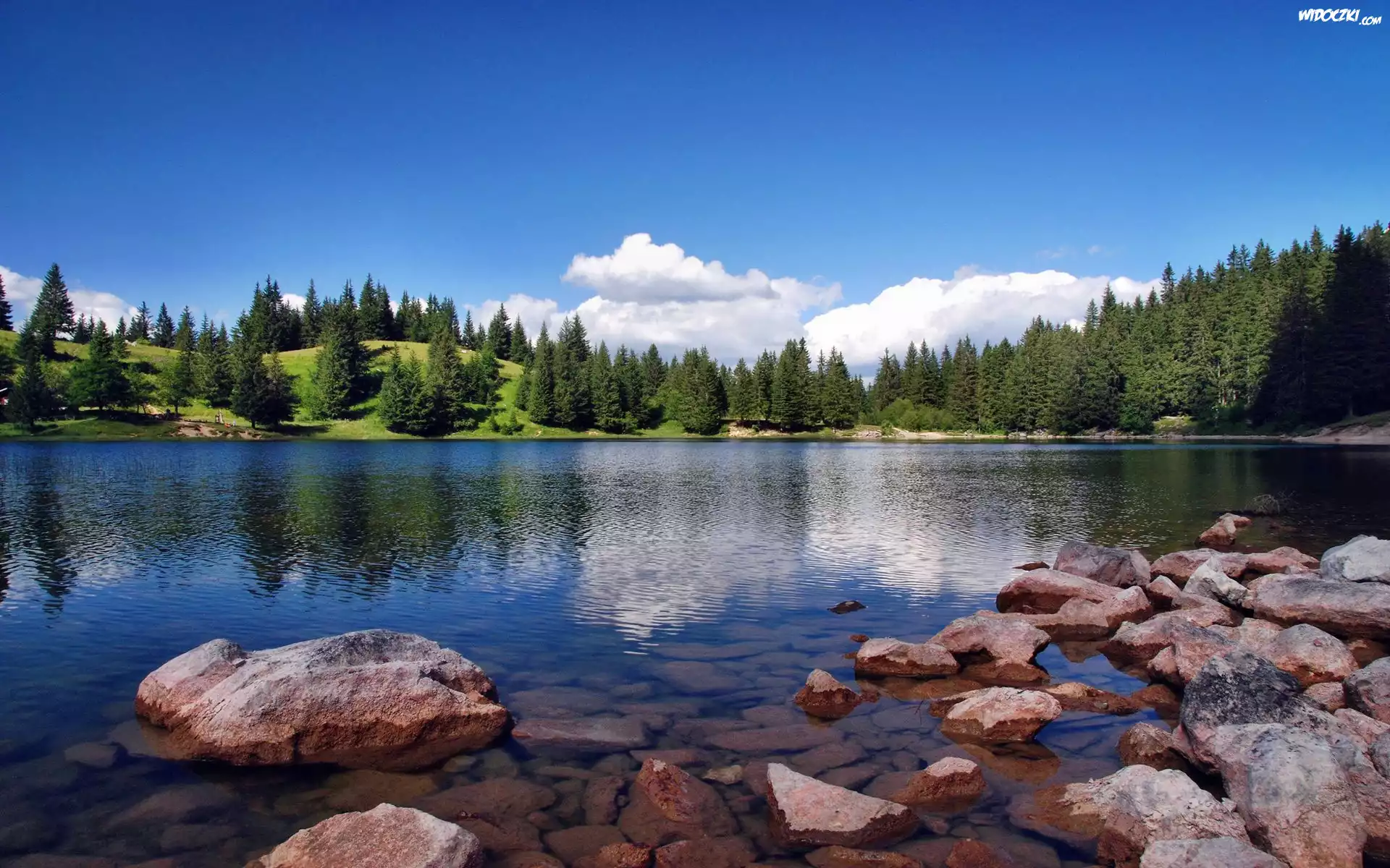 Kamienie, Jezioro, Las