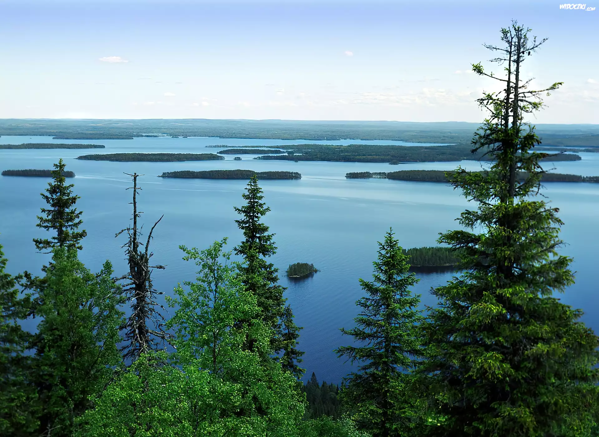 Jezioro, Drzewa, Koli, Finlandia