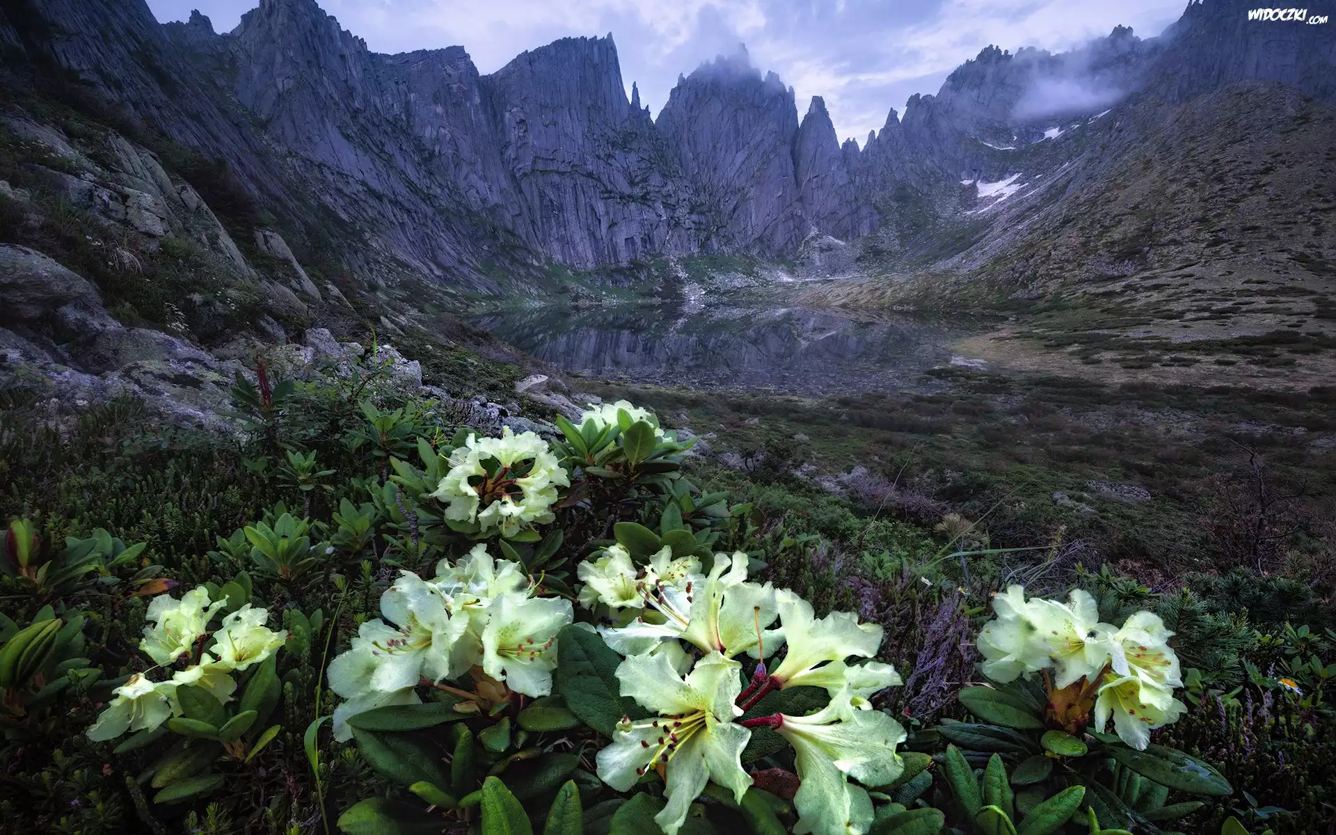 Góry, Skały, Kwiaty, Żółte, Azalie, Rododendron, Chmury, Jezioro